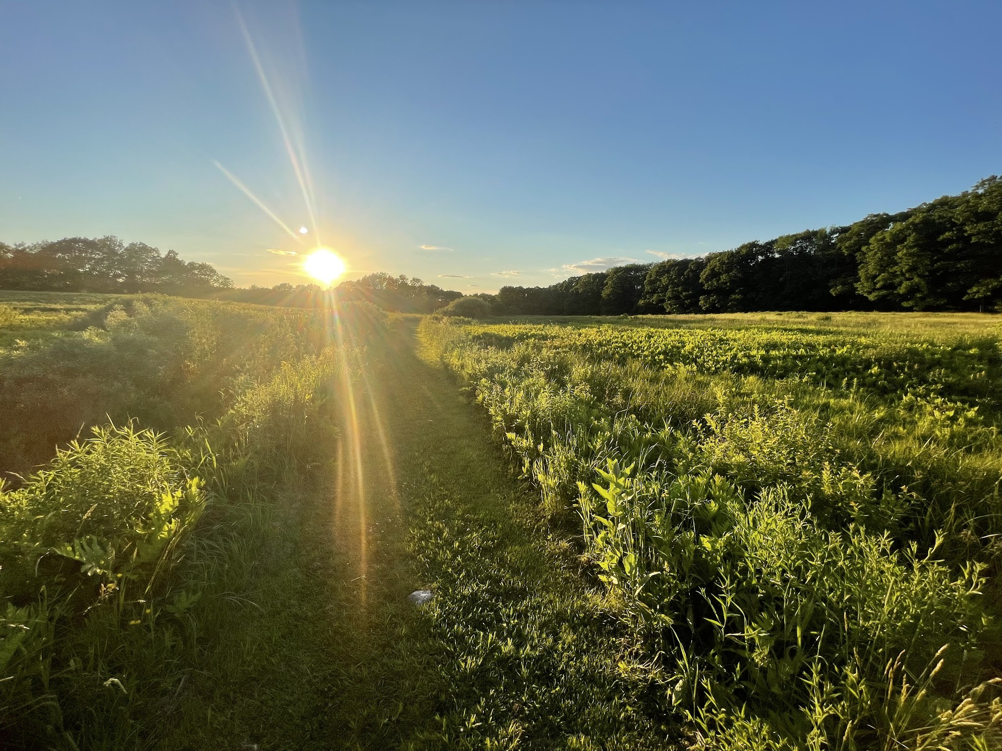 Singing Meadows Preserve - Edgecomb, ME