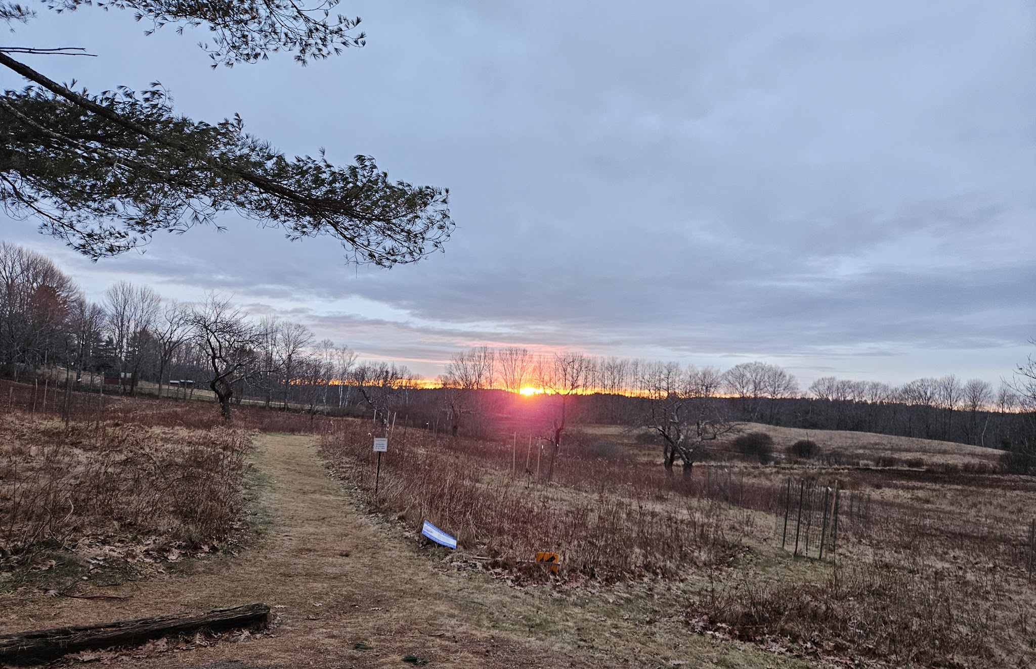 Singing Meadows Preserve - Edgecomb, ME