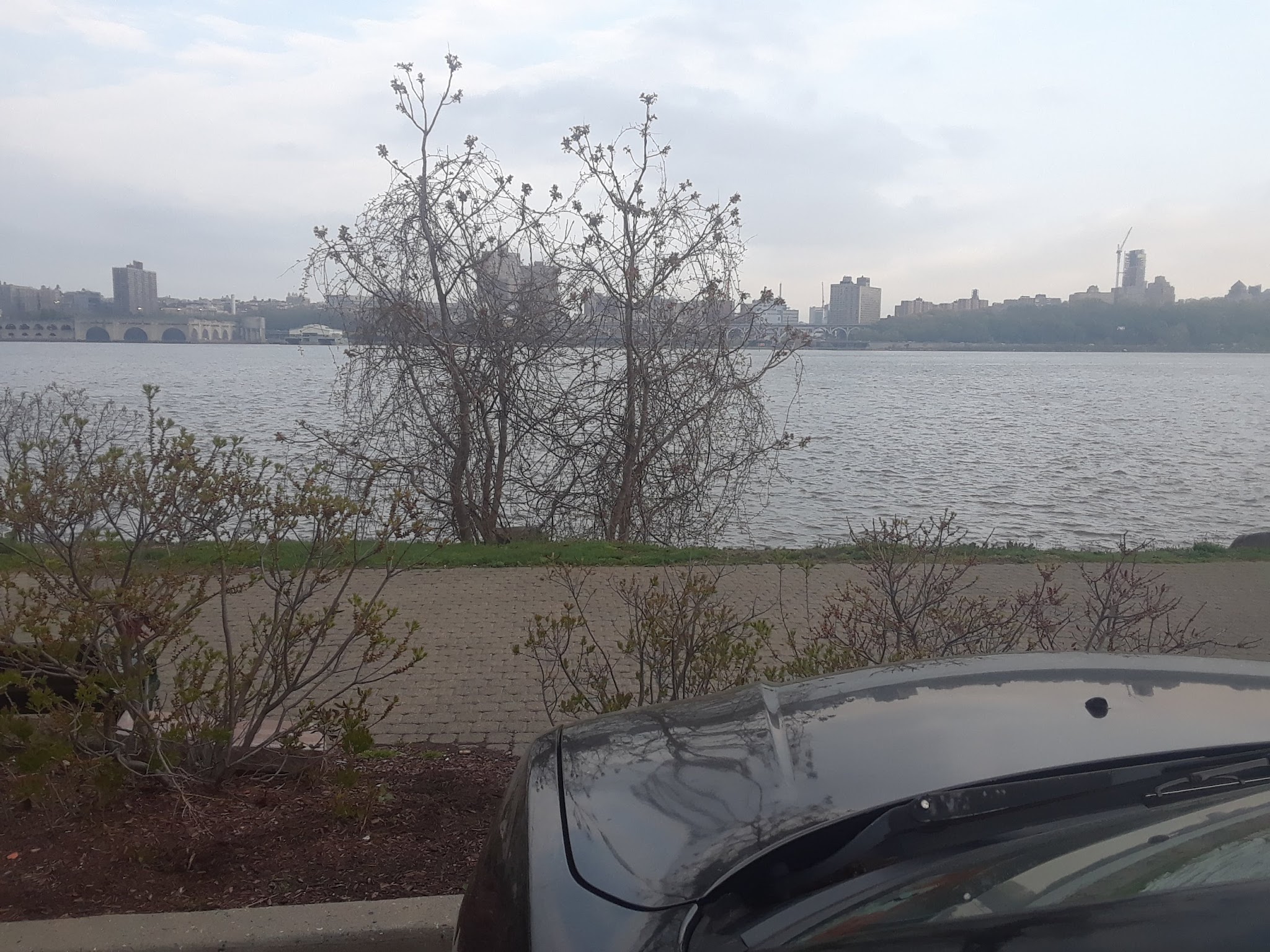 Edgewater Dog Park - Edgewater, NJ