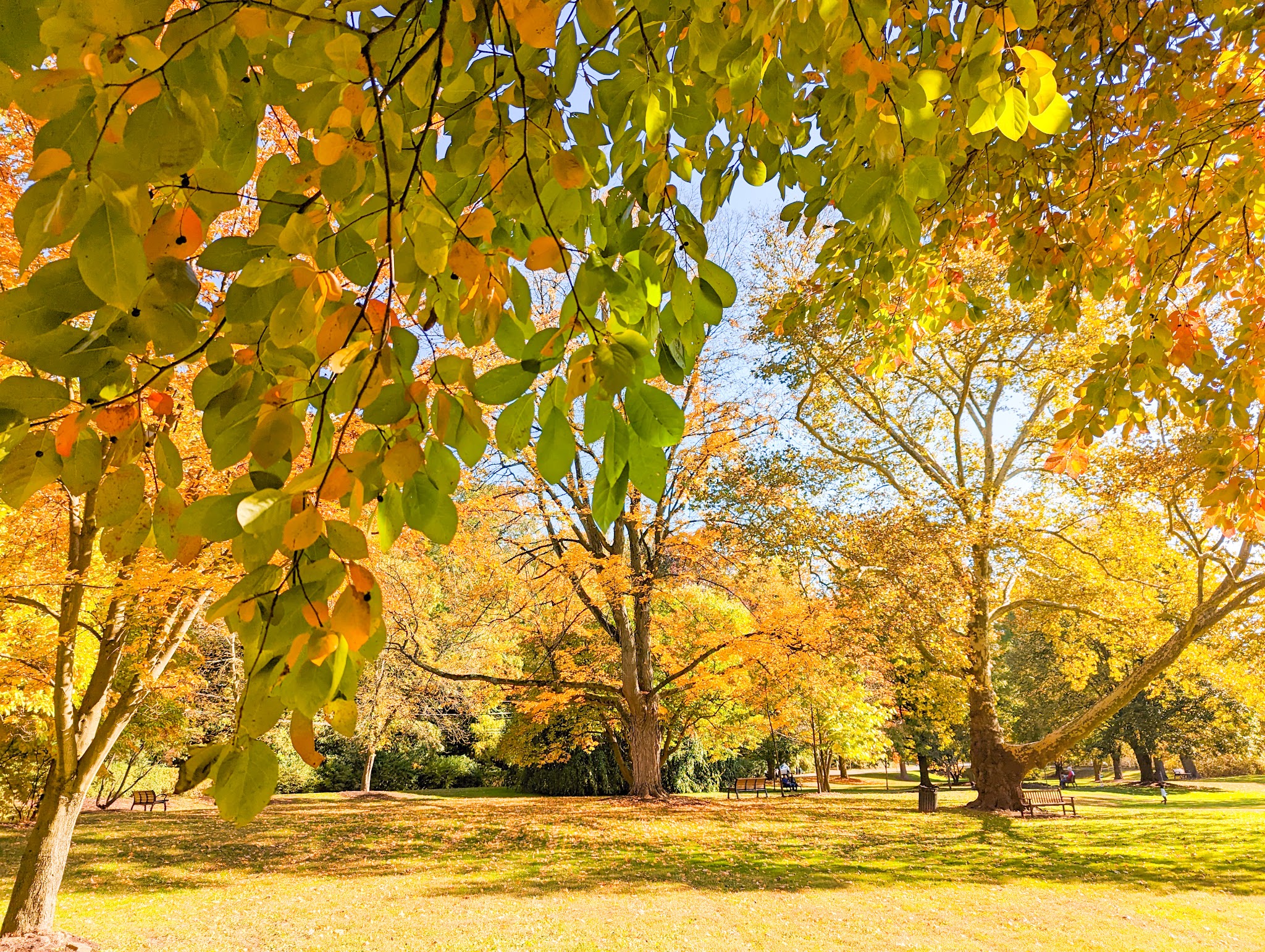 Way Park - Edgeworth, PA