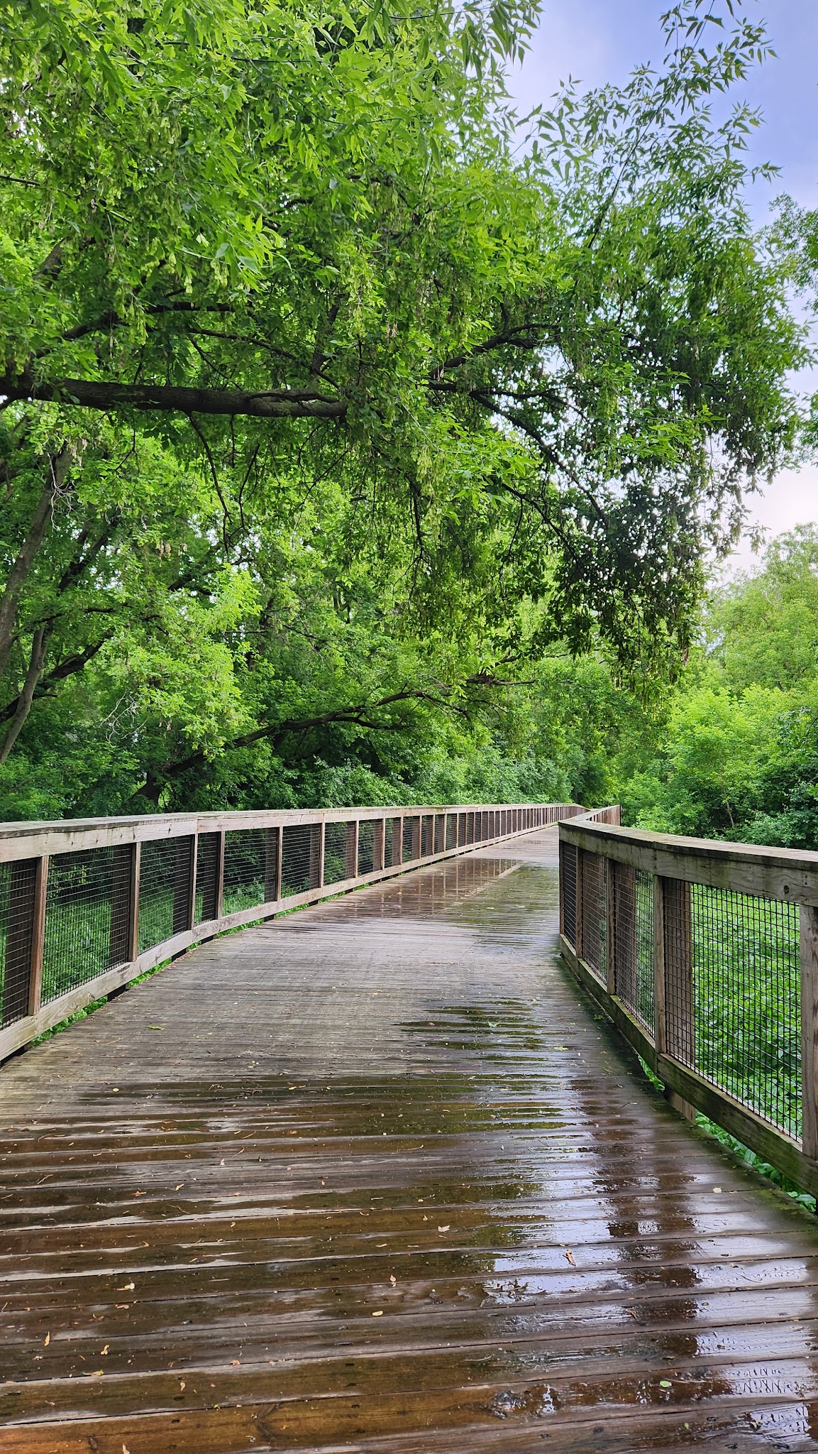 Heights Park - Edina, MN