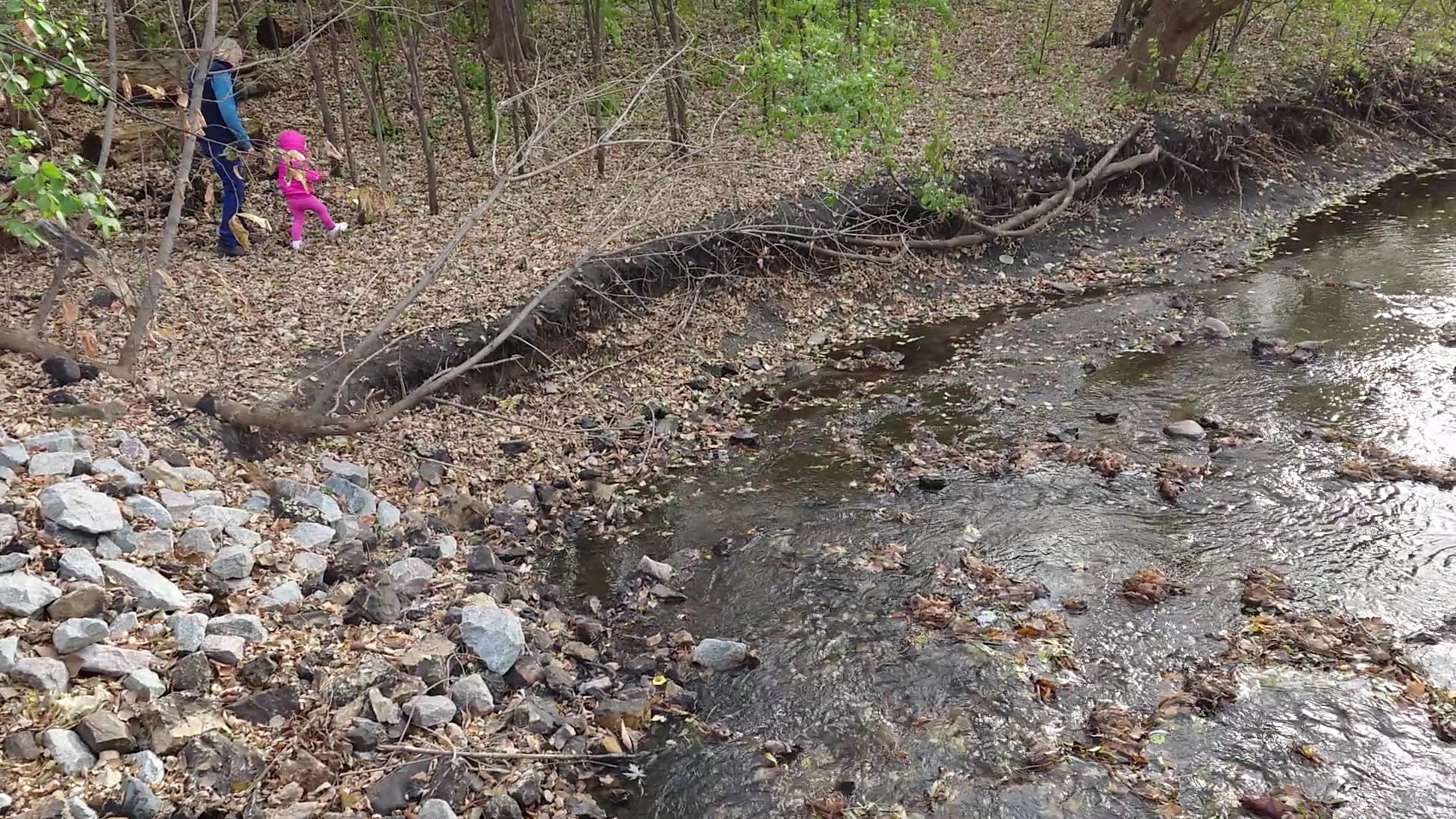 Heights Park - Edina, MN