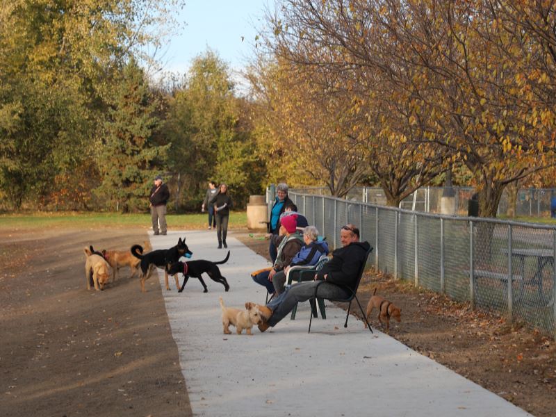 Van Valkenburg Park - Edina, MN