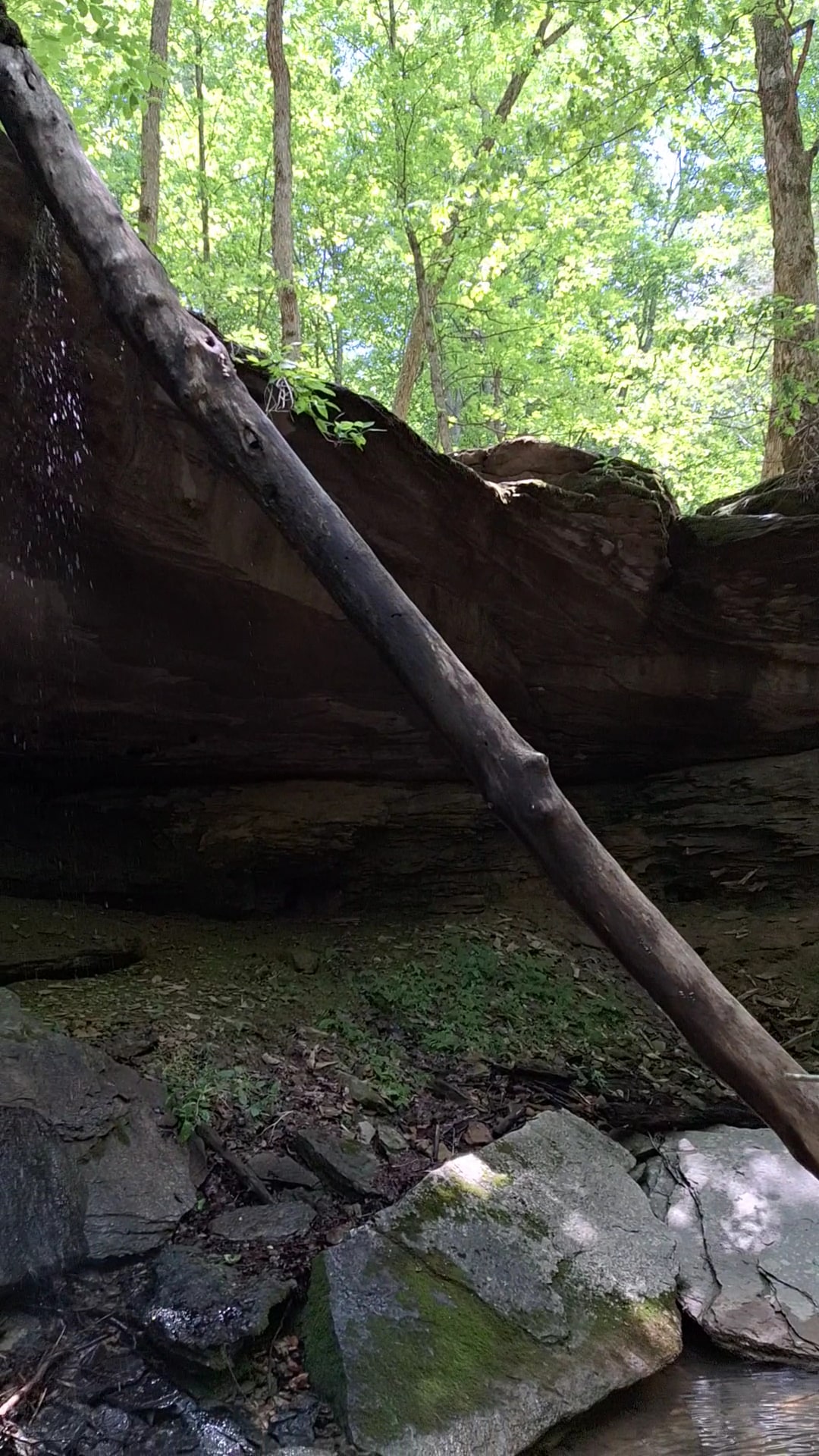 Dry Fork Gorge - Edmonton, KY