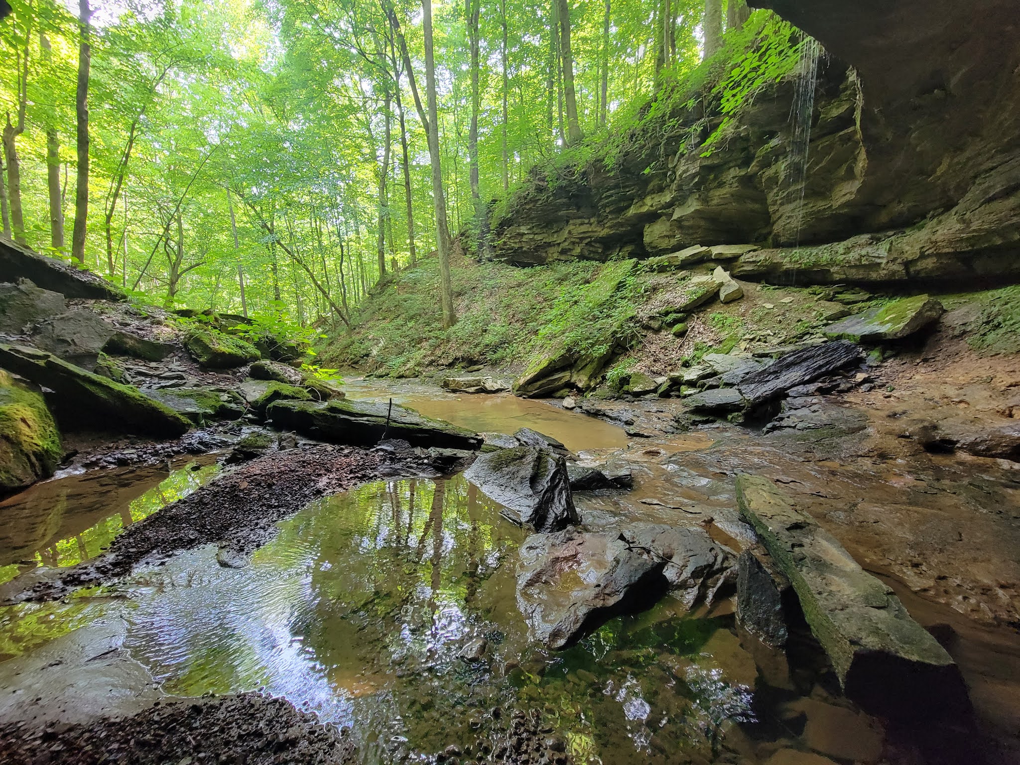 Dry Fork Gorge - Edmonton, KY
