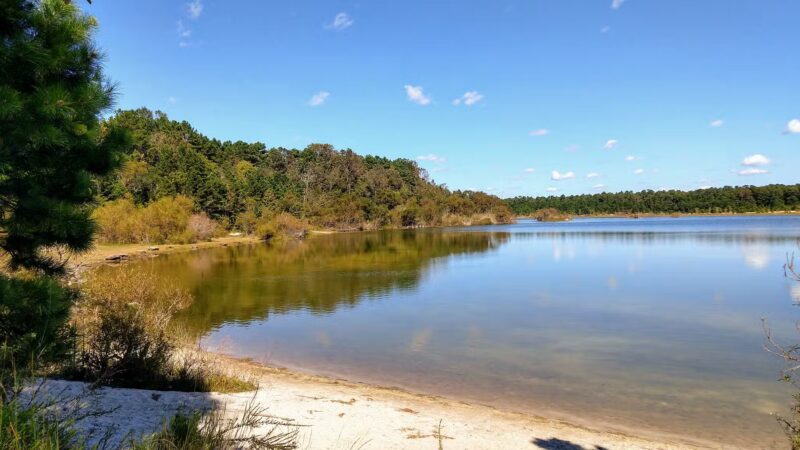 E.H.T. Nature Reserve Smart Trail - Egg Harbor Township, NJ