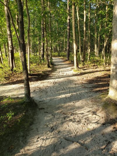 E.H.T. Nature Reserve Smart Trail - Egg Harbor Township, NJ