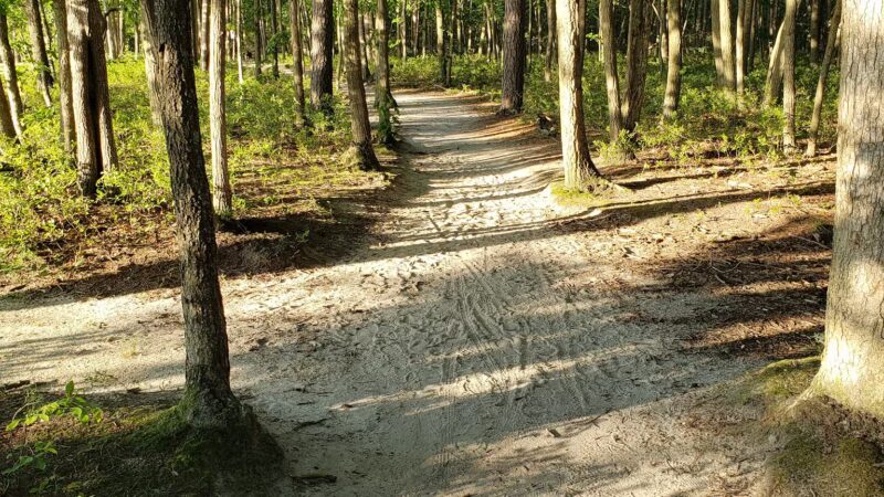 E.H.T. Nature Reserve Smart Trail - Egg Harbor Township, NJ