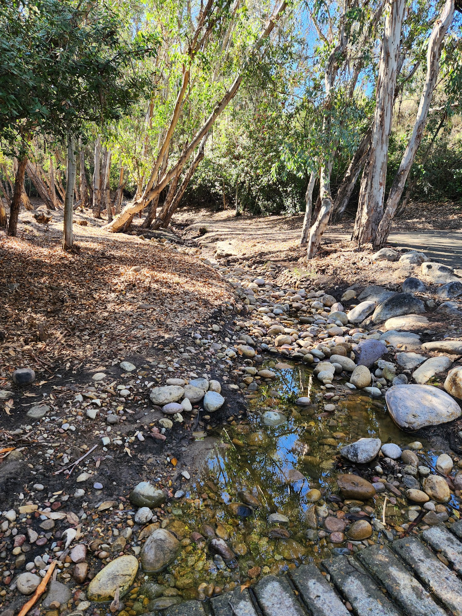 Hillside Park - El Cajon, CA