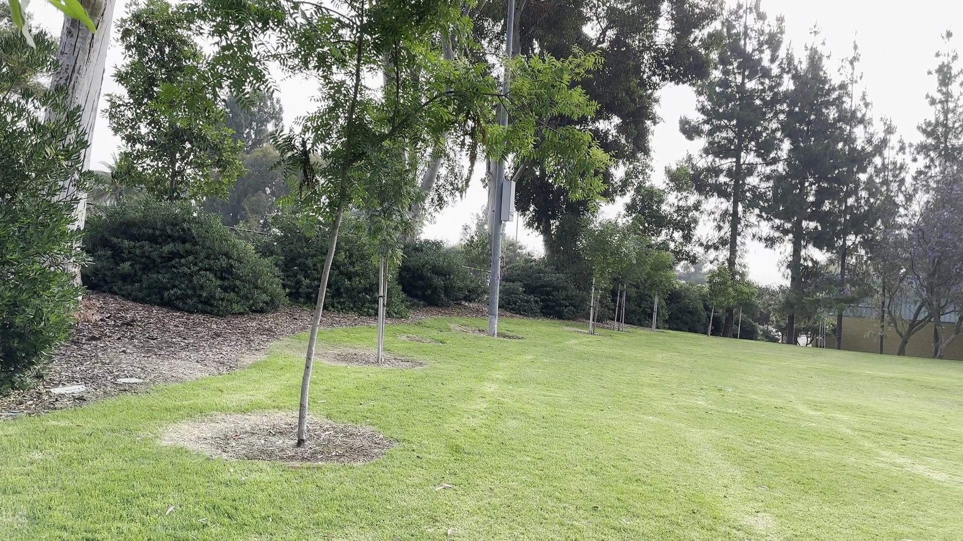 Hillside Park - El Cajon, CA