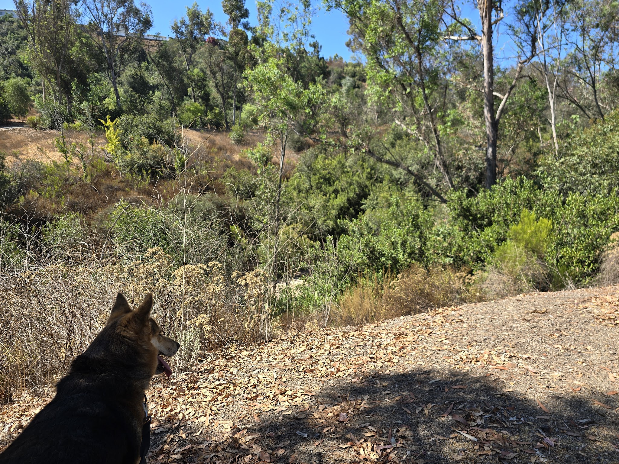 Hillside Park - El Cajon, CA