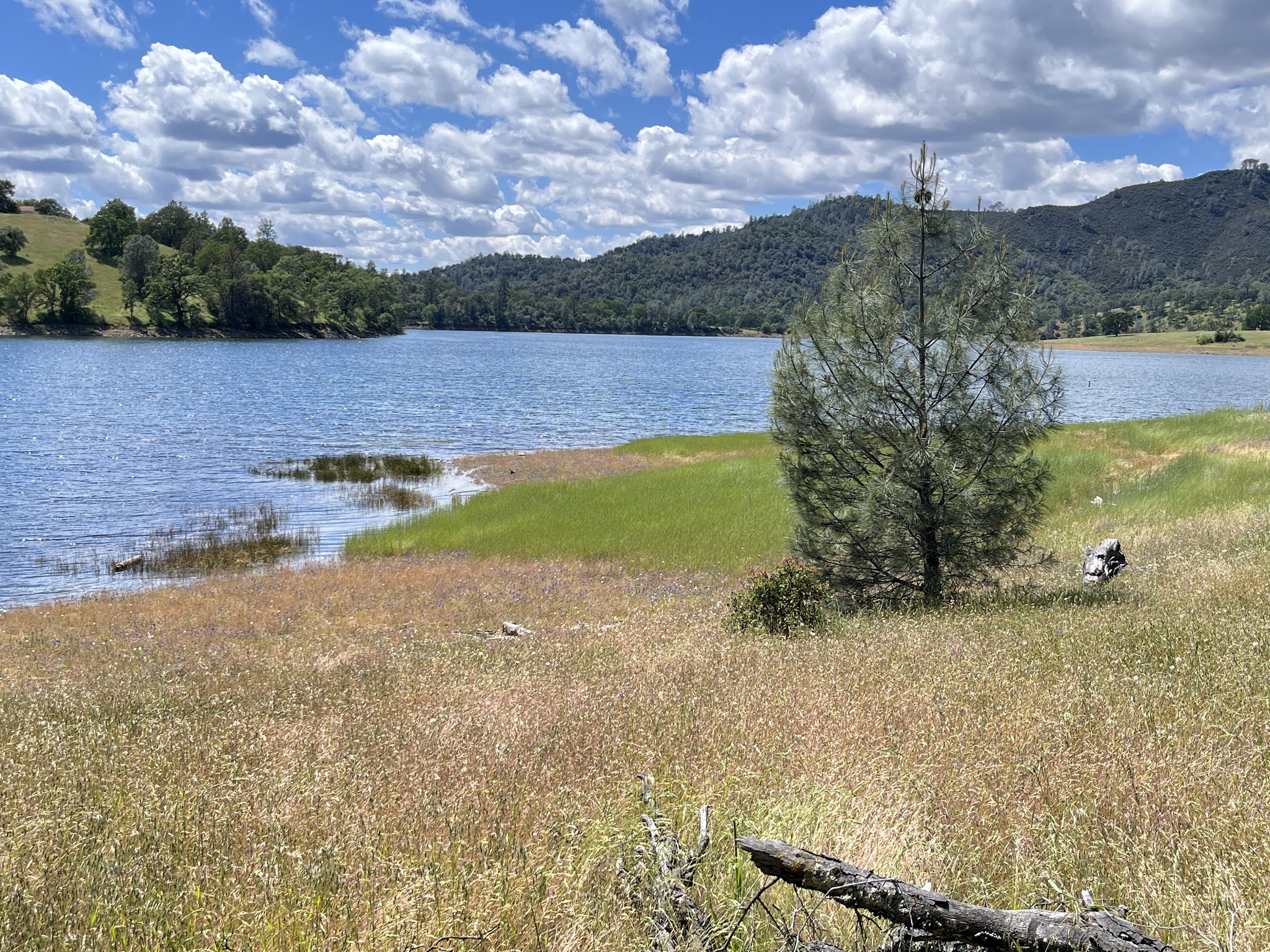 Sweetwater Trail - El Dorado Hills, CA
