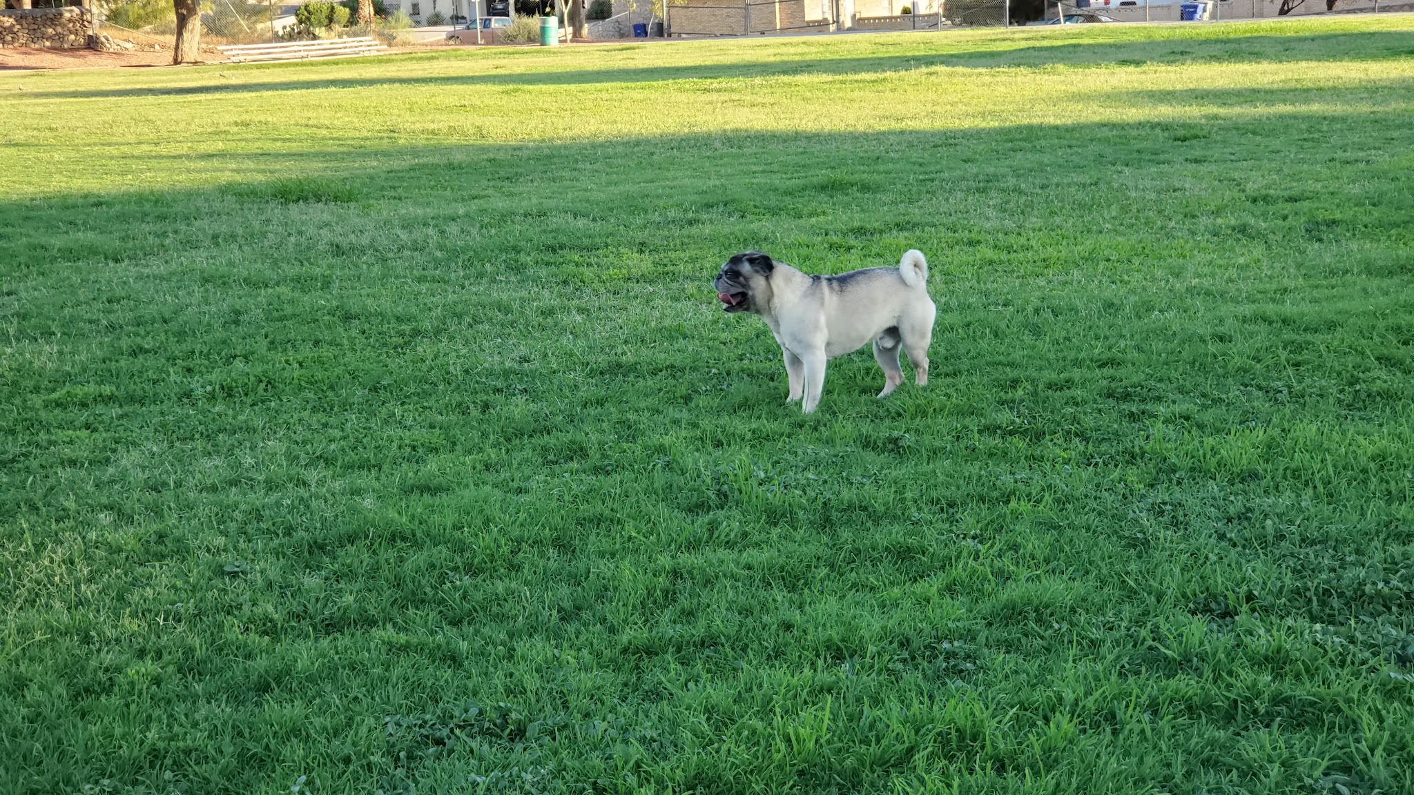 Alethea Park - El Paso, TX