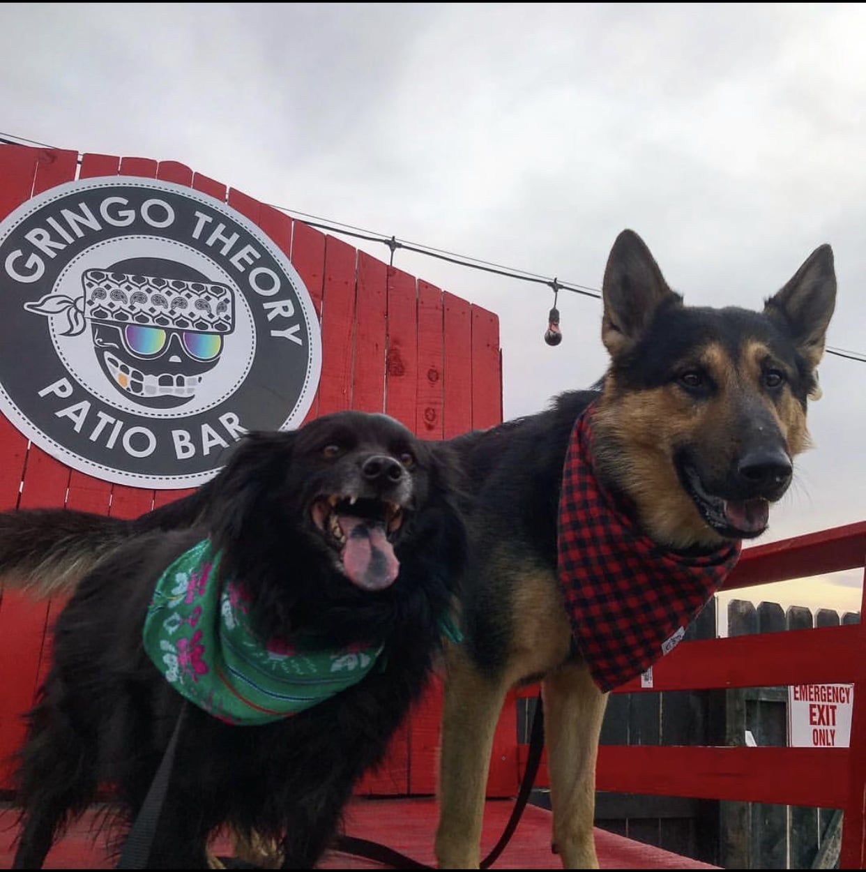 Gringo’s Bark Park - El Paso, TX