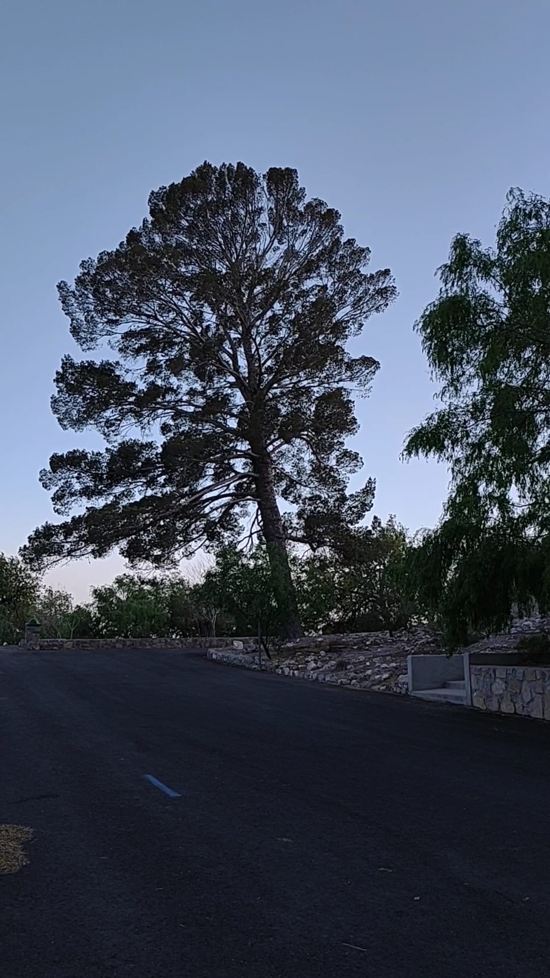 Memorial Park - El Paso, TX