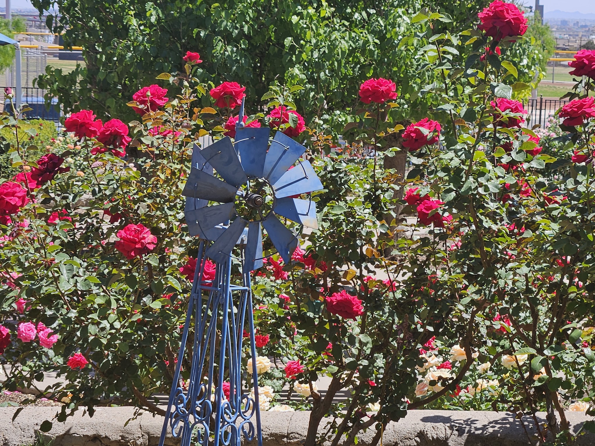 Memorial Park - El Paso, TX