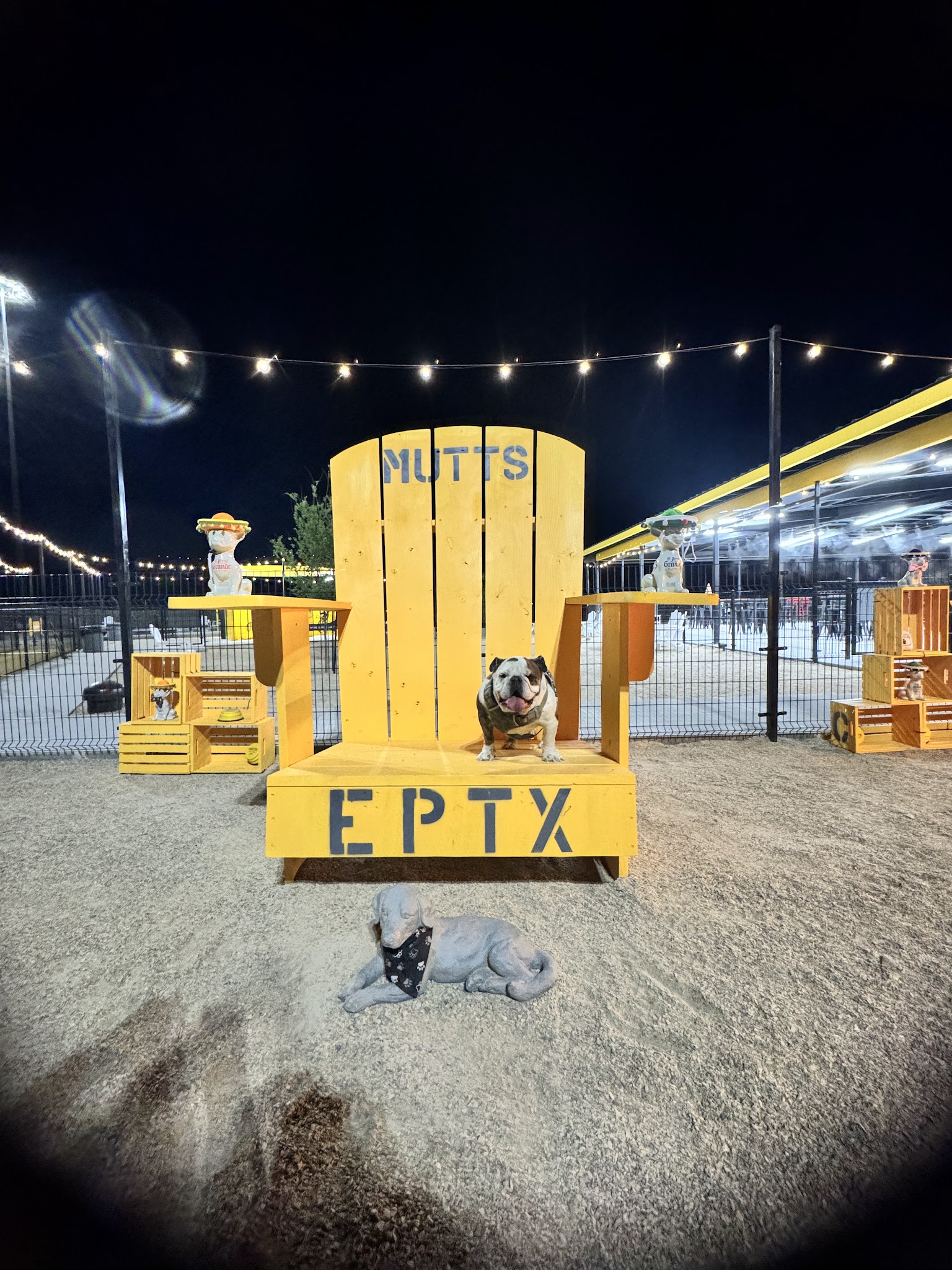 MUTTZ El Paso- Dog Park Bar - El Paso, TX