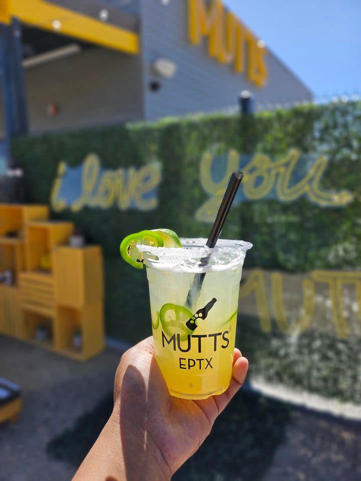 MUTTZ El Paso- Dog Park Bar - El Paso, TX