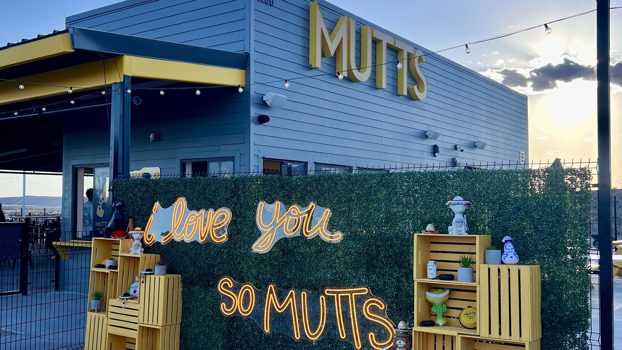 MUTTZ El Paso- Dog Park Bar - El Paso, TX