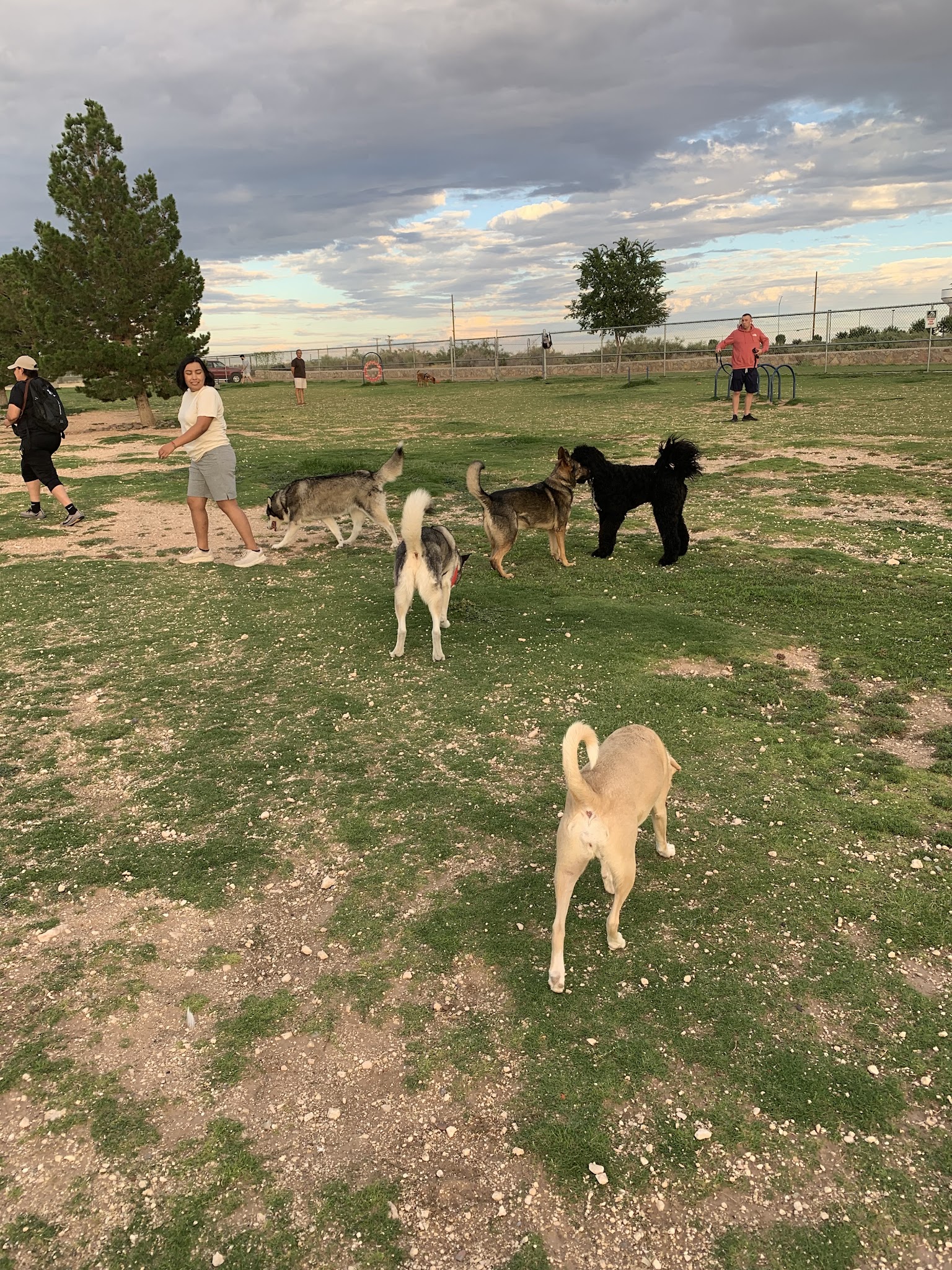 Tierra Buena Dog Park - El Paso, TX