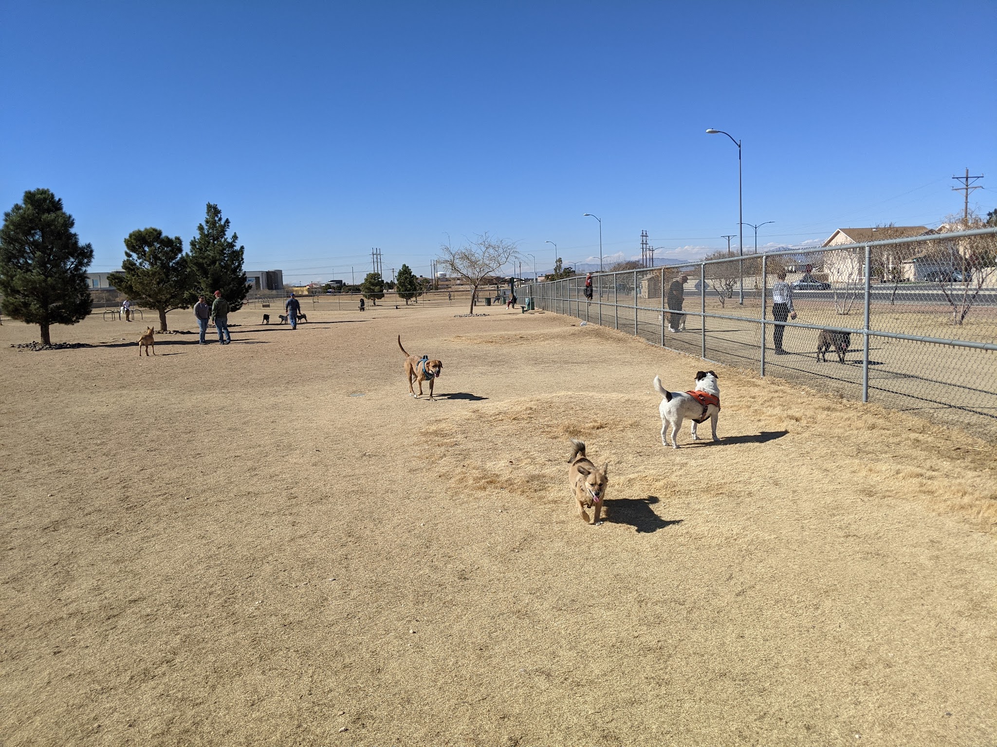 Tierra Buena Dog Park - El Paso, TX