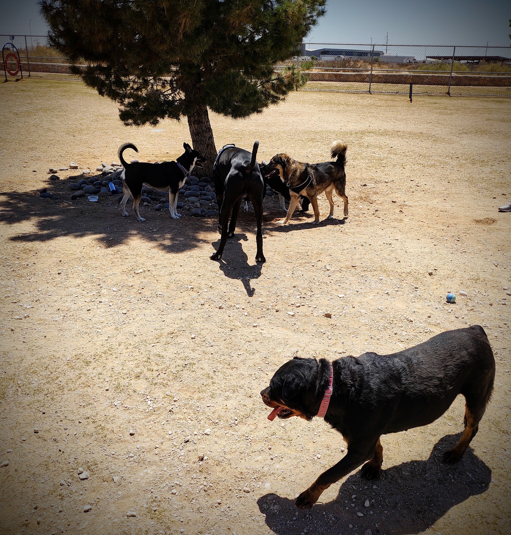 Tierra Buena Park - El Paso, TX