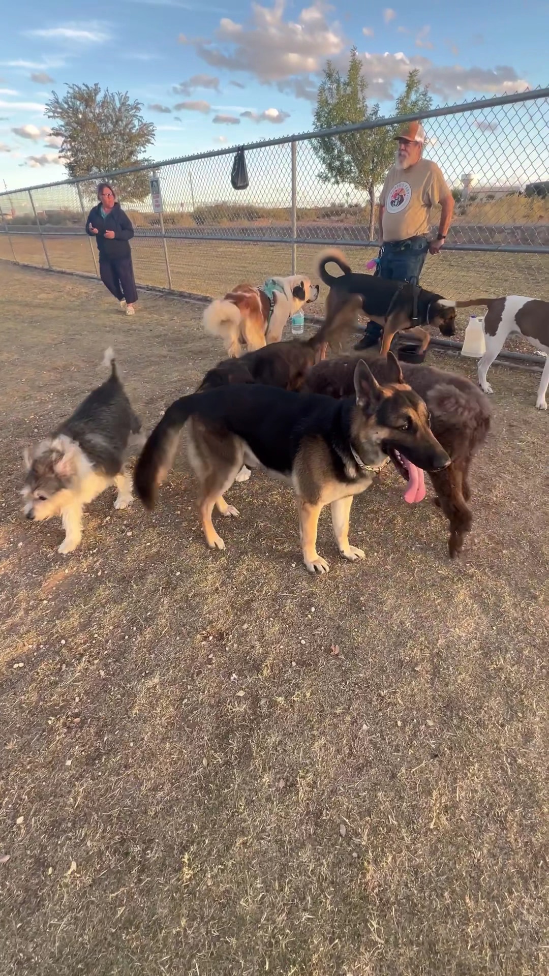 Tierra Buena Park - El Paso, TX