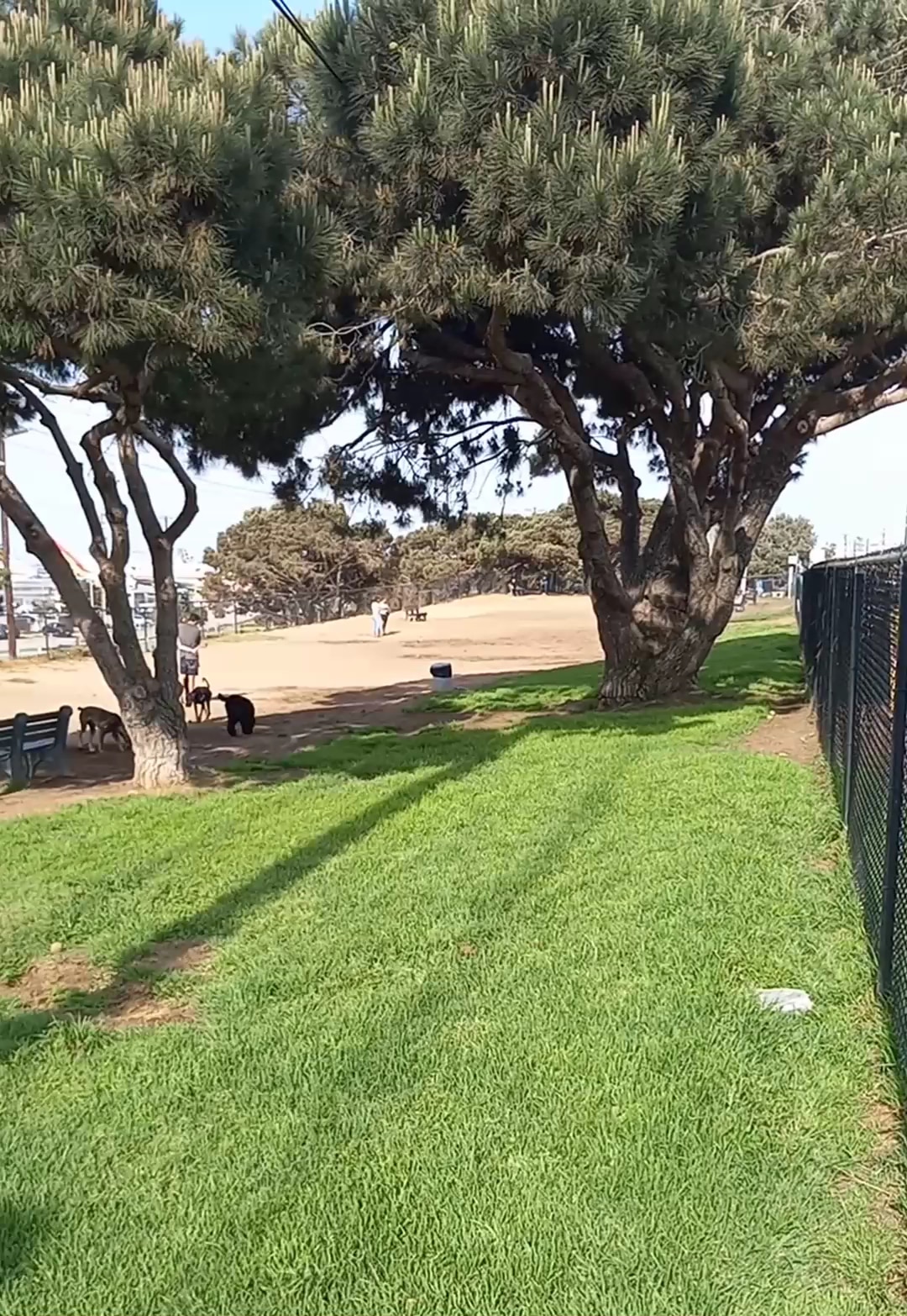 El Segundo Dog Park - El Segundo, CA