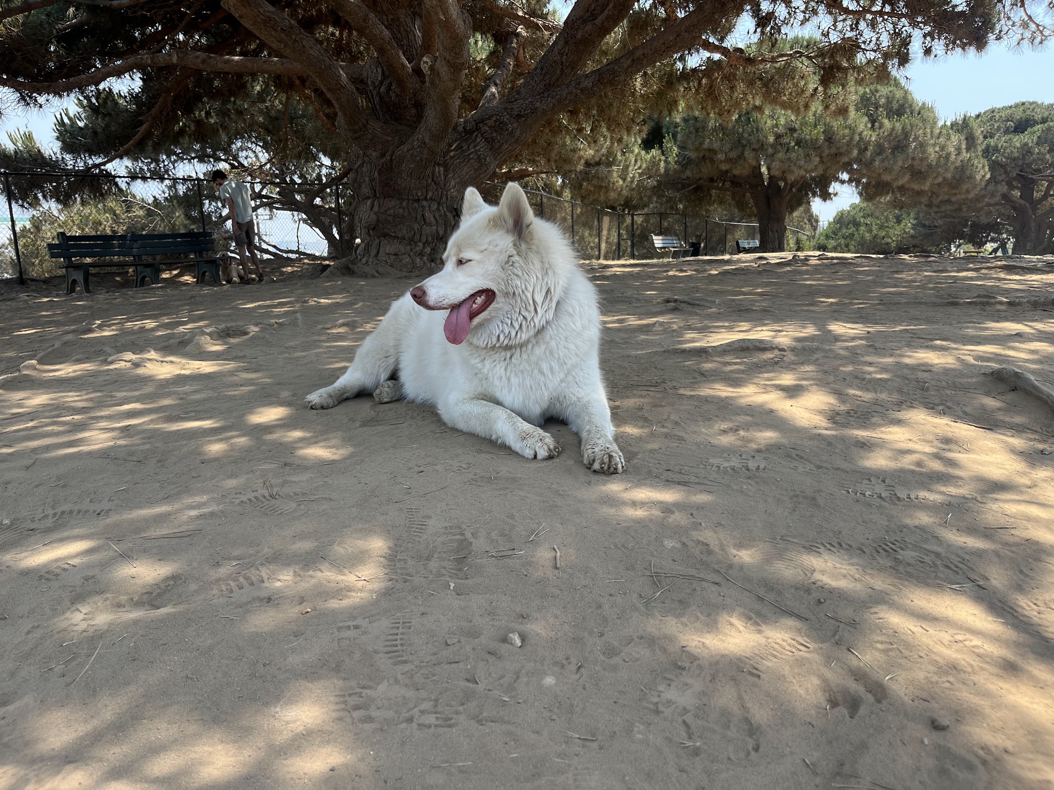 El Segundo Dog Park - El Segundo, CA