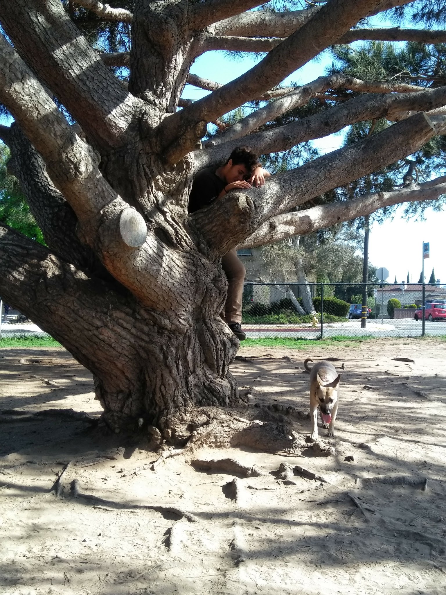 El Segundo Dog Park - El Segundo, CA