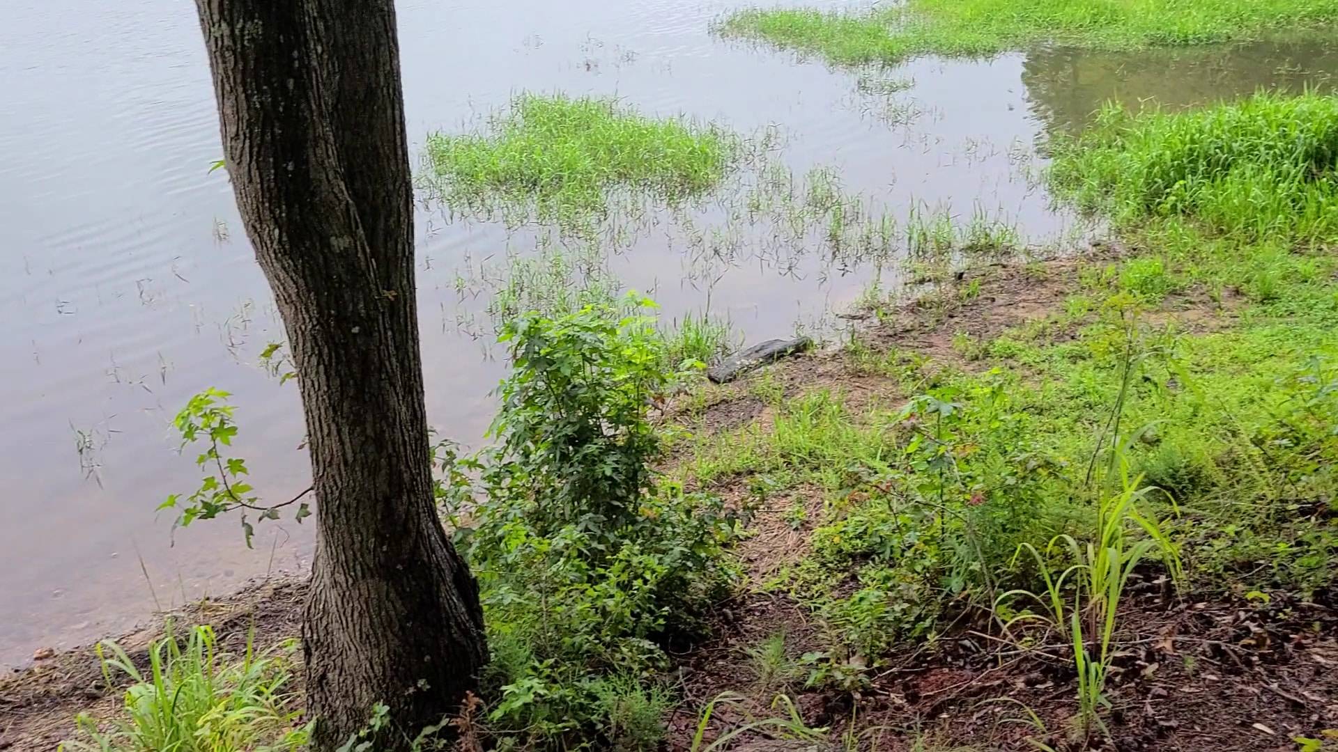 Bobby Brown Park - Elberton, GA