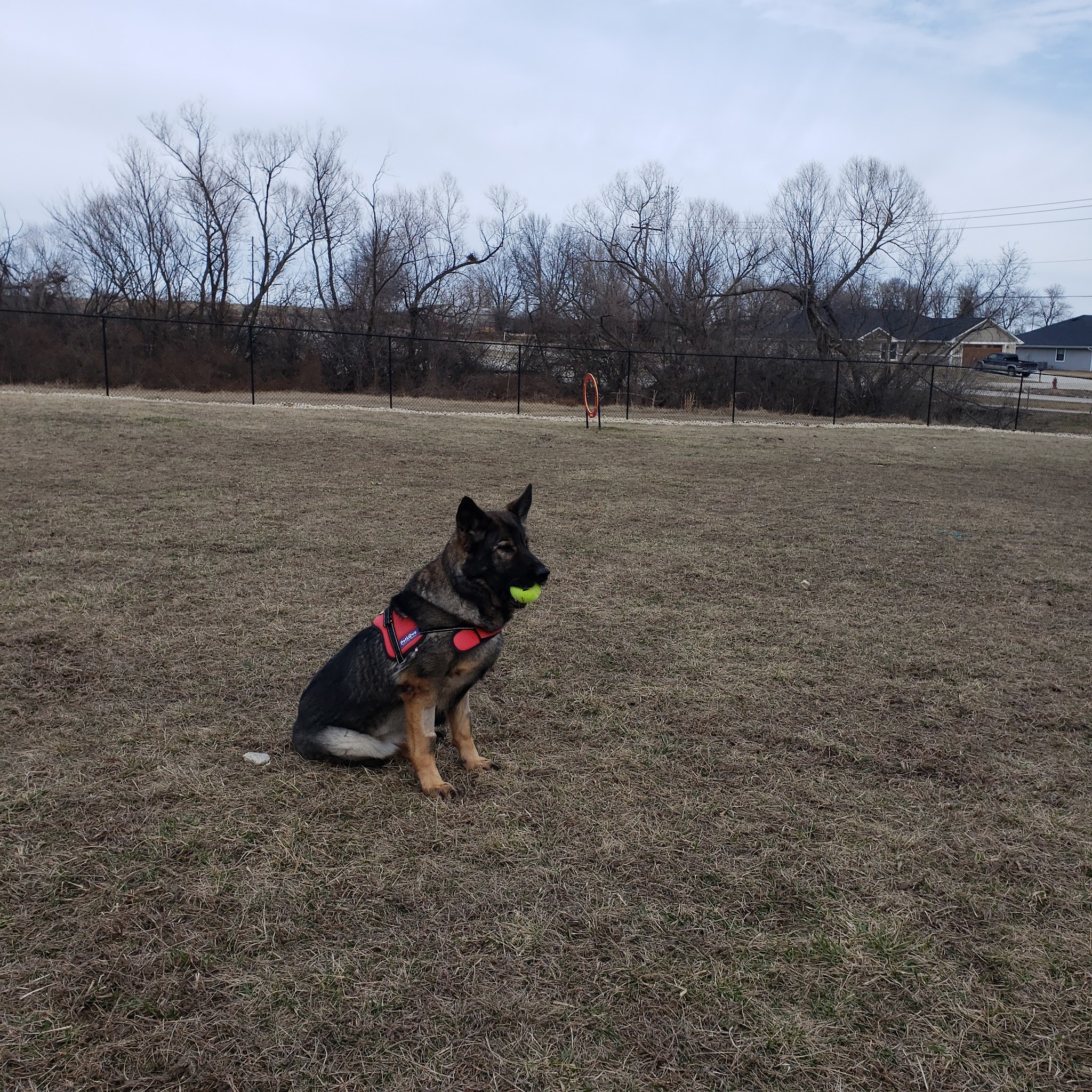 Dog Park - Eldon, MO