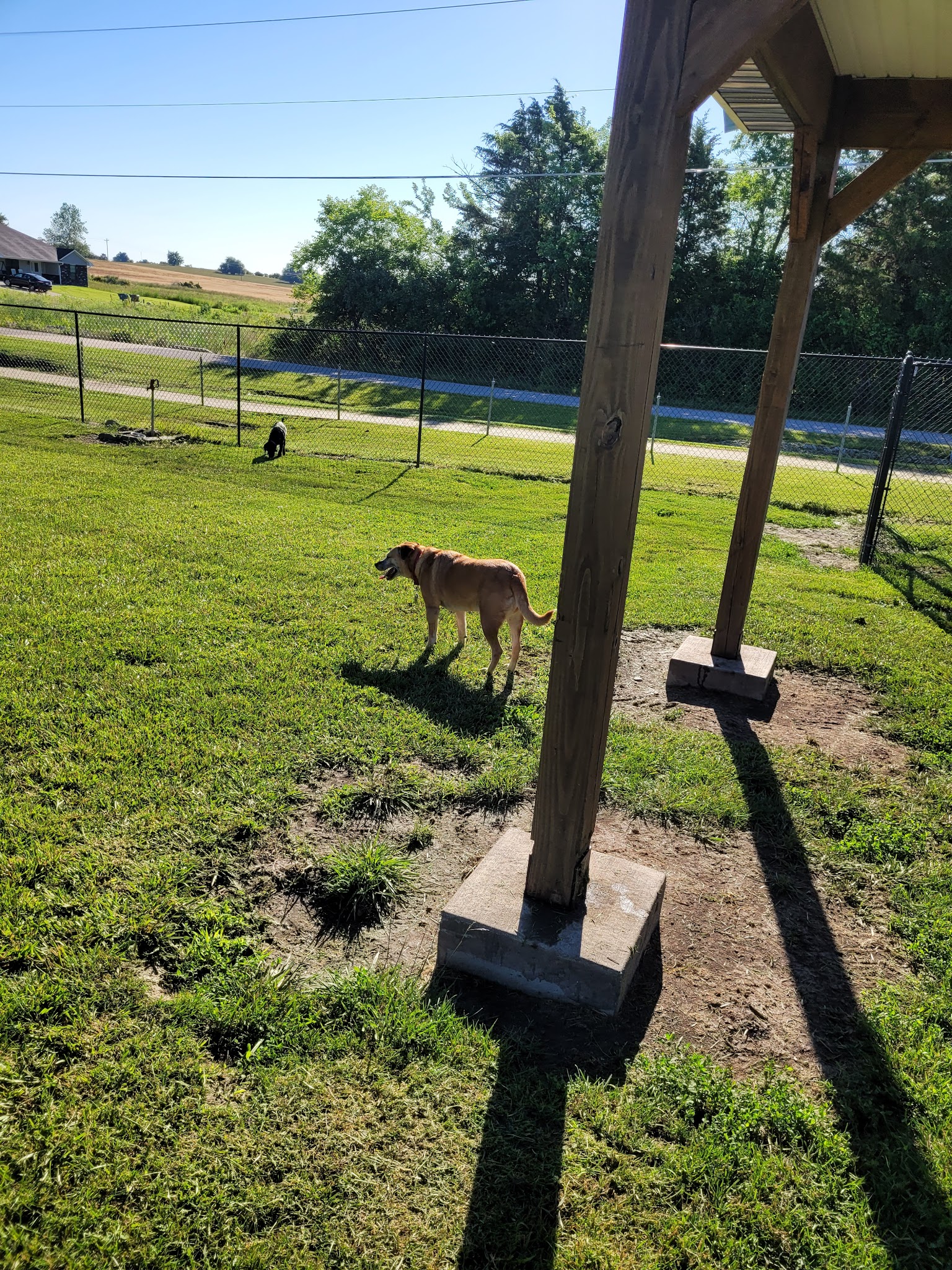 Dog Park - Eldon, MO