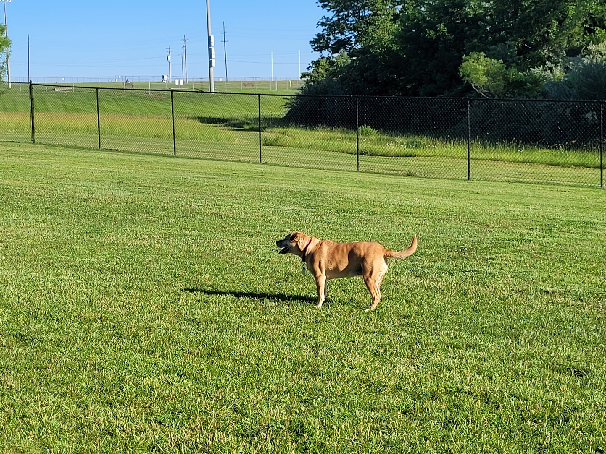Dog Park - Eldon, MO