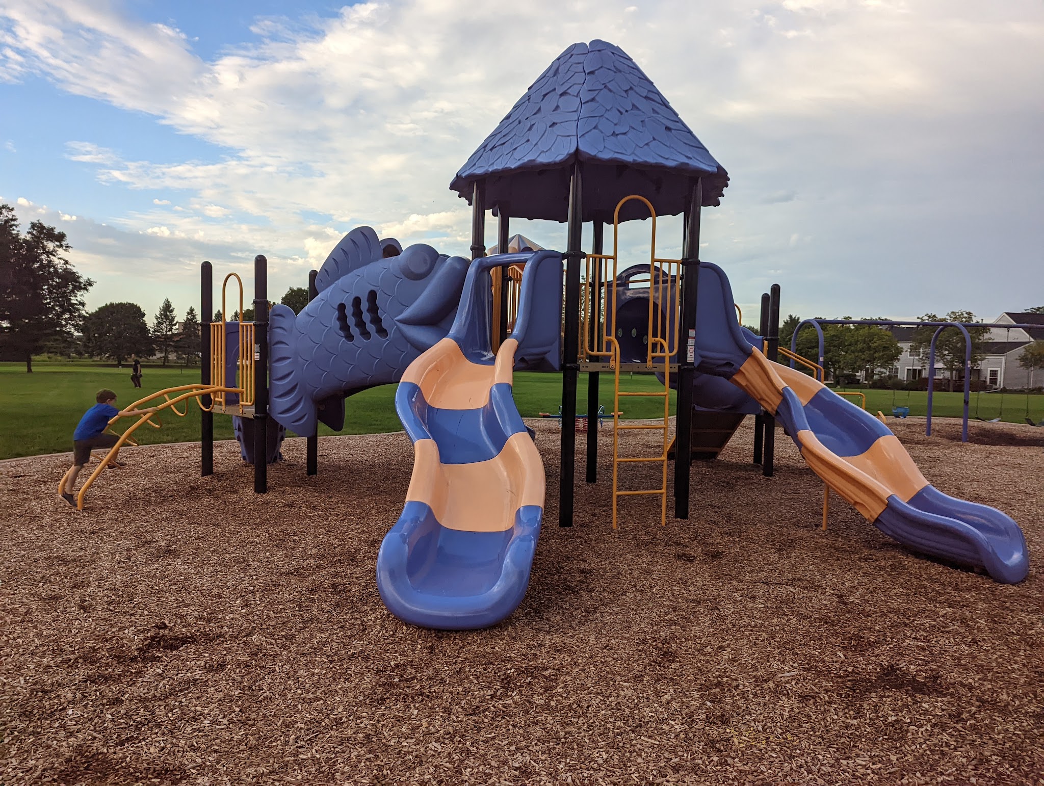 College Green Park - Elgin, IL