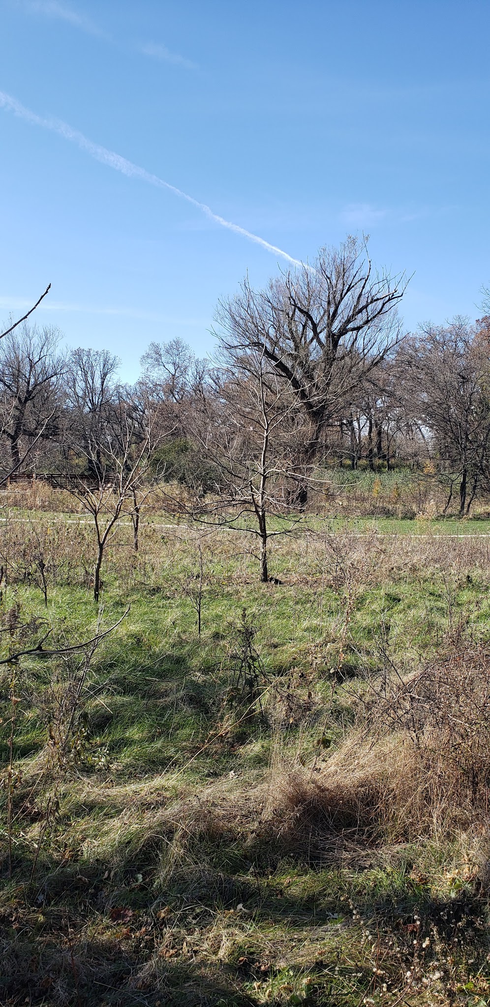 Eagle/Burnidge Park - Elgin, IL