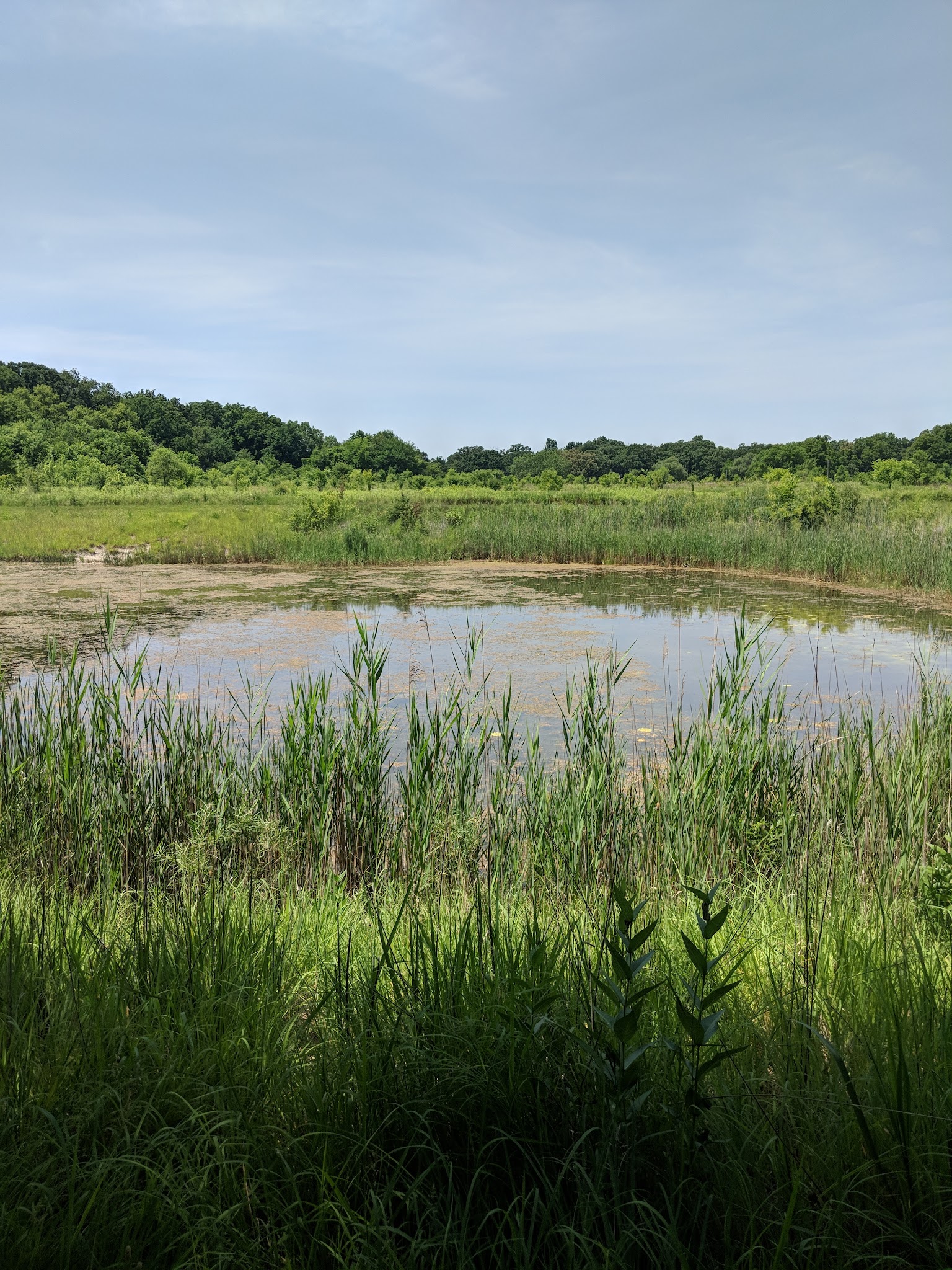 Eagle/Burnidge Park - Elgin, IL