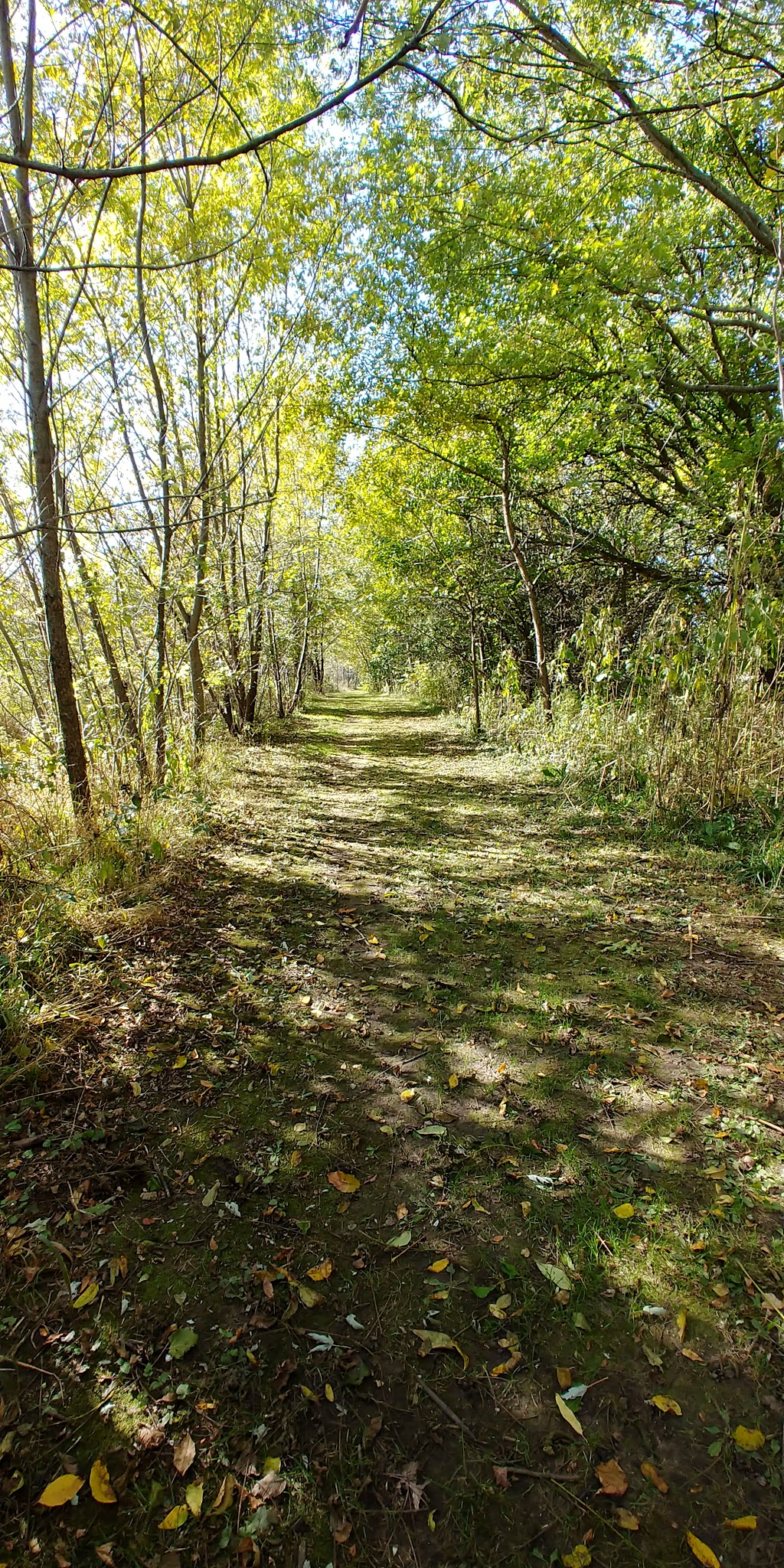Eagle/Burnidge Park - Elgin, IL