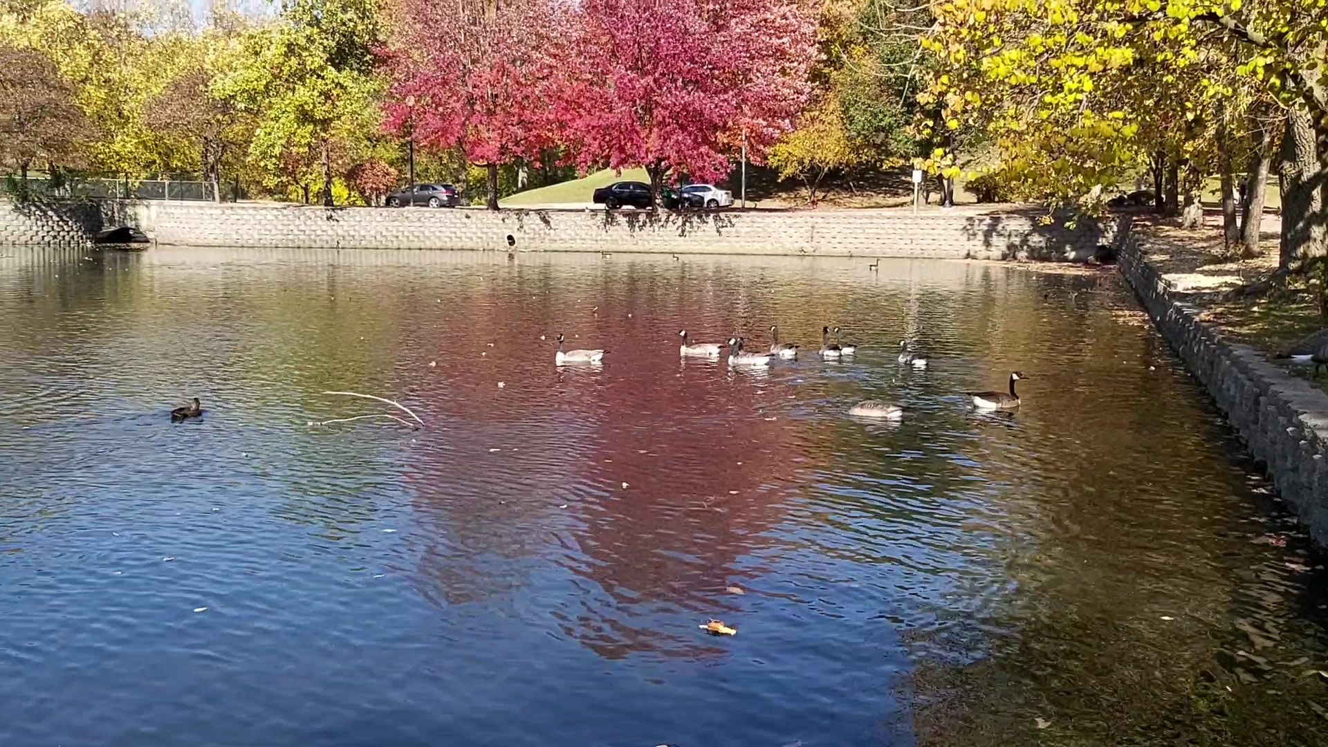 Lords Park - Elgin, IL