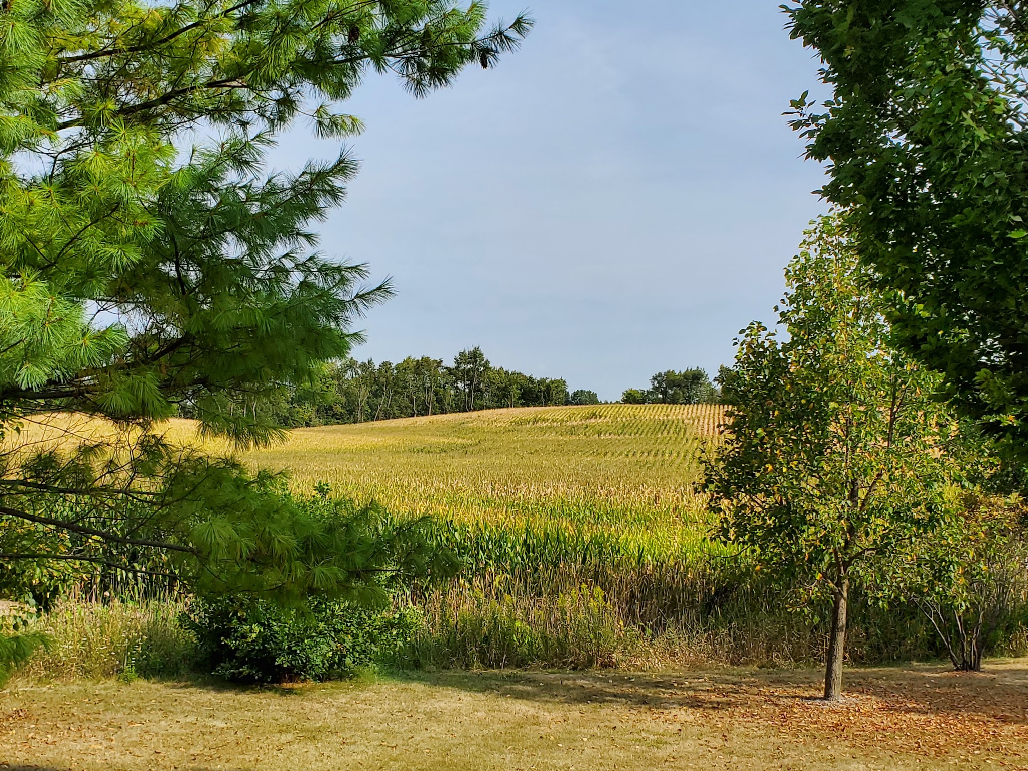 Randall Ridge Park - Elgin, IL