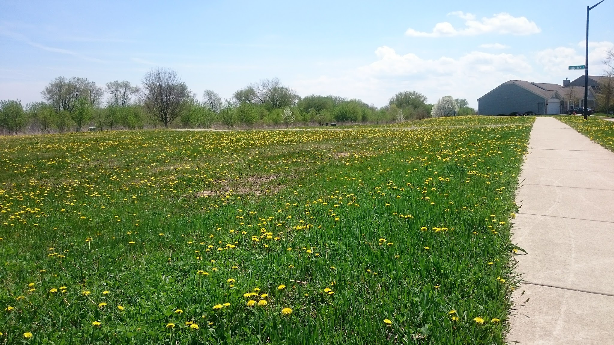 Shamrock Park - Elgin, IL