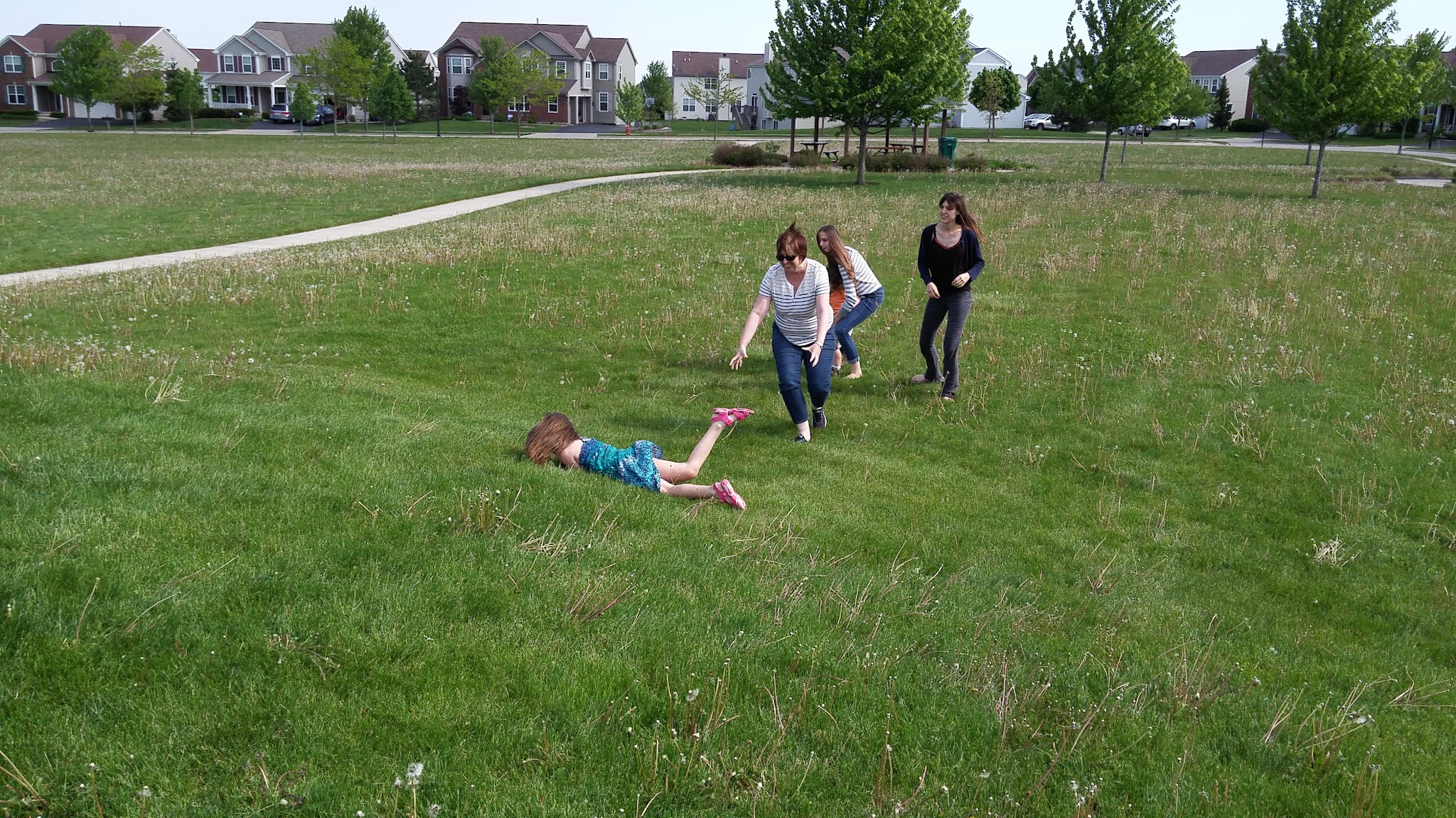 Shamrock Park - Elgin, IL