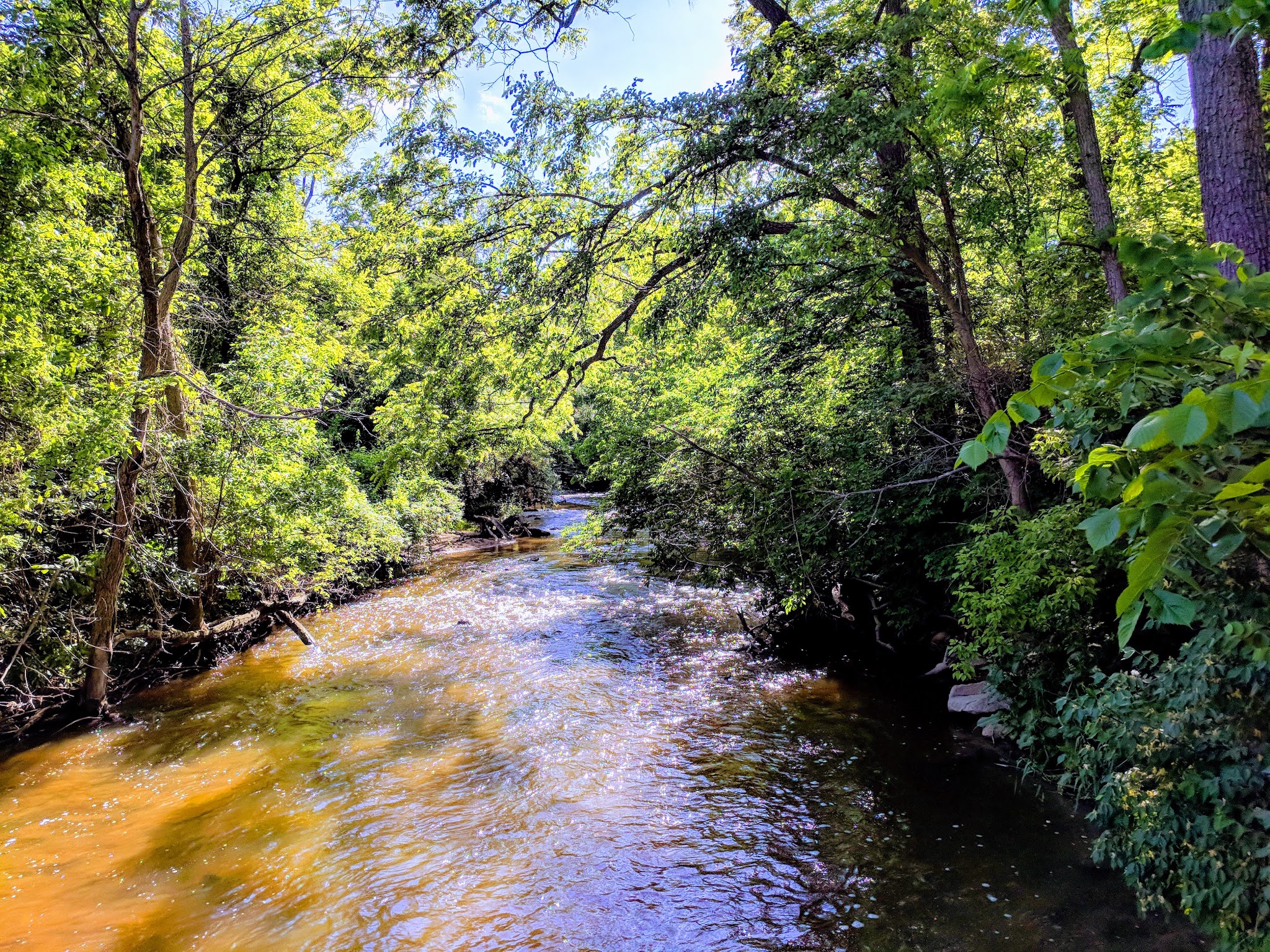 Tyler Creek Forest Preserve - Elgin, IL