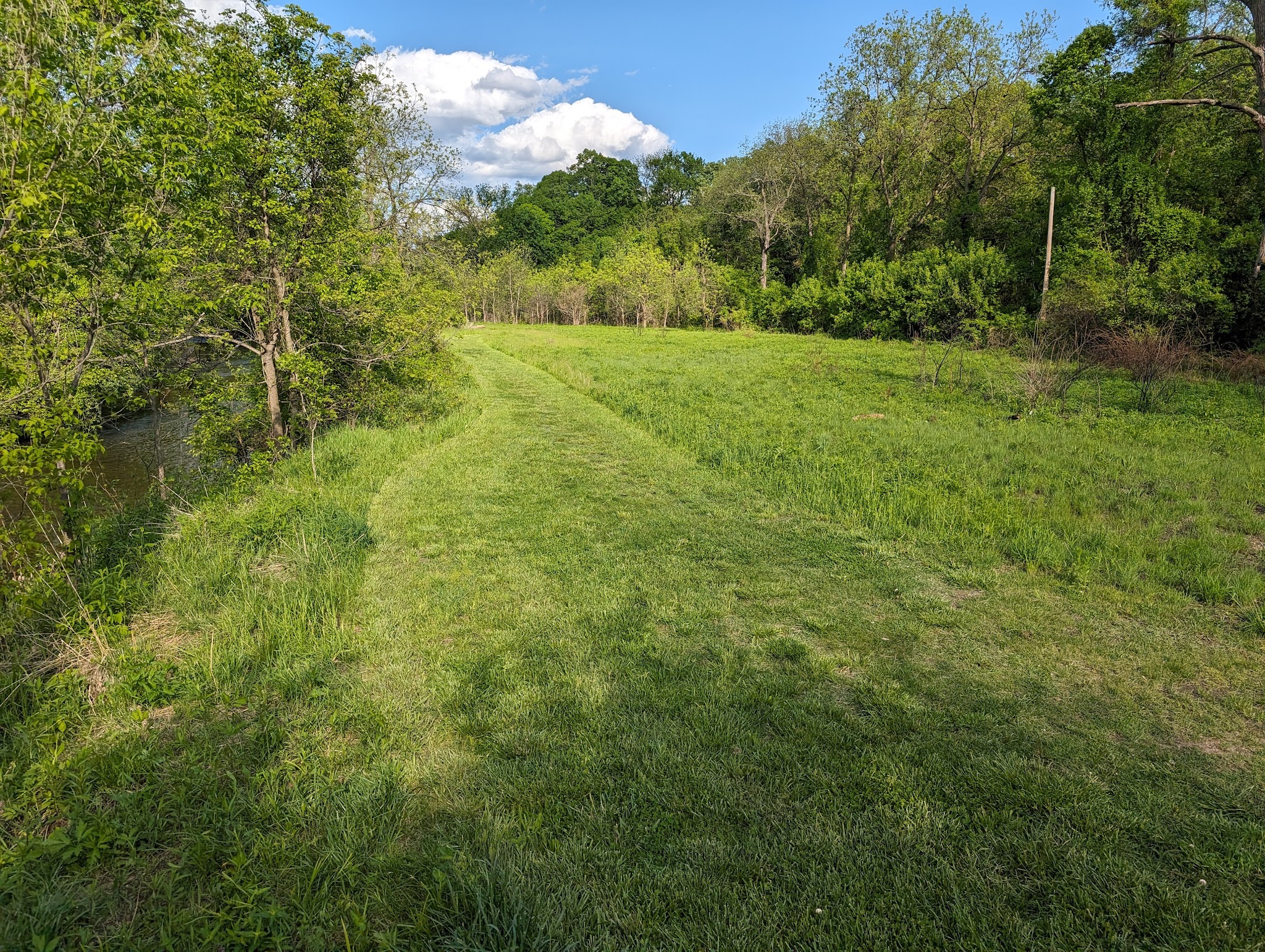 Tyler Creek Forest Preserve - Elgin, IL