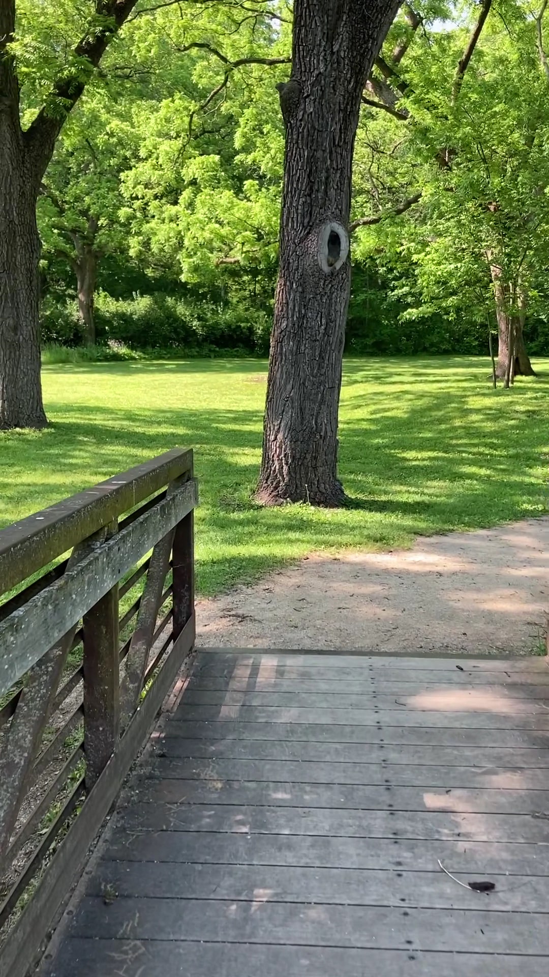 Tyler Creek Forest Preserve - Elgin, IL