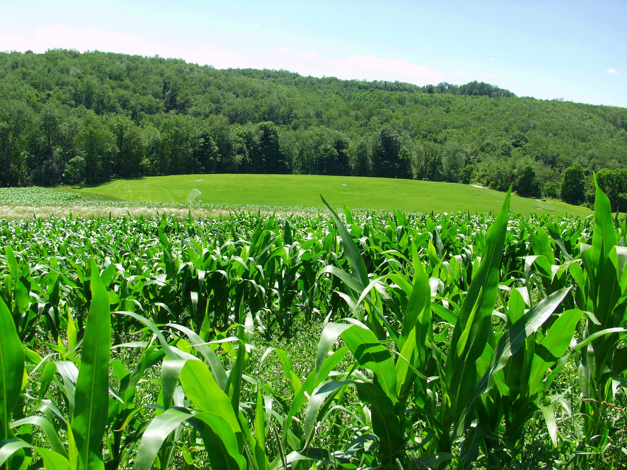 Round Hill Park - Elizabeth, PA