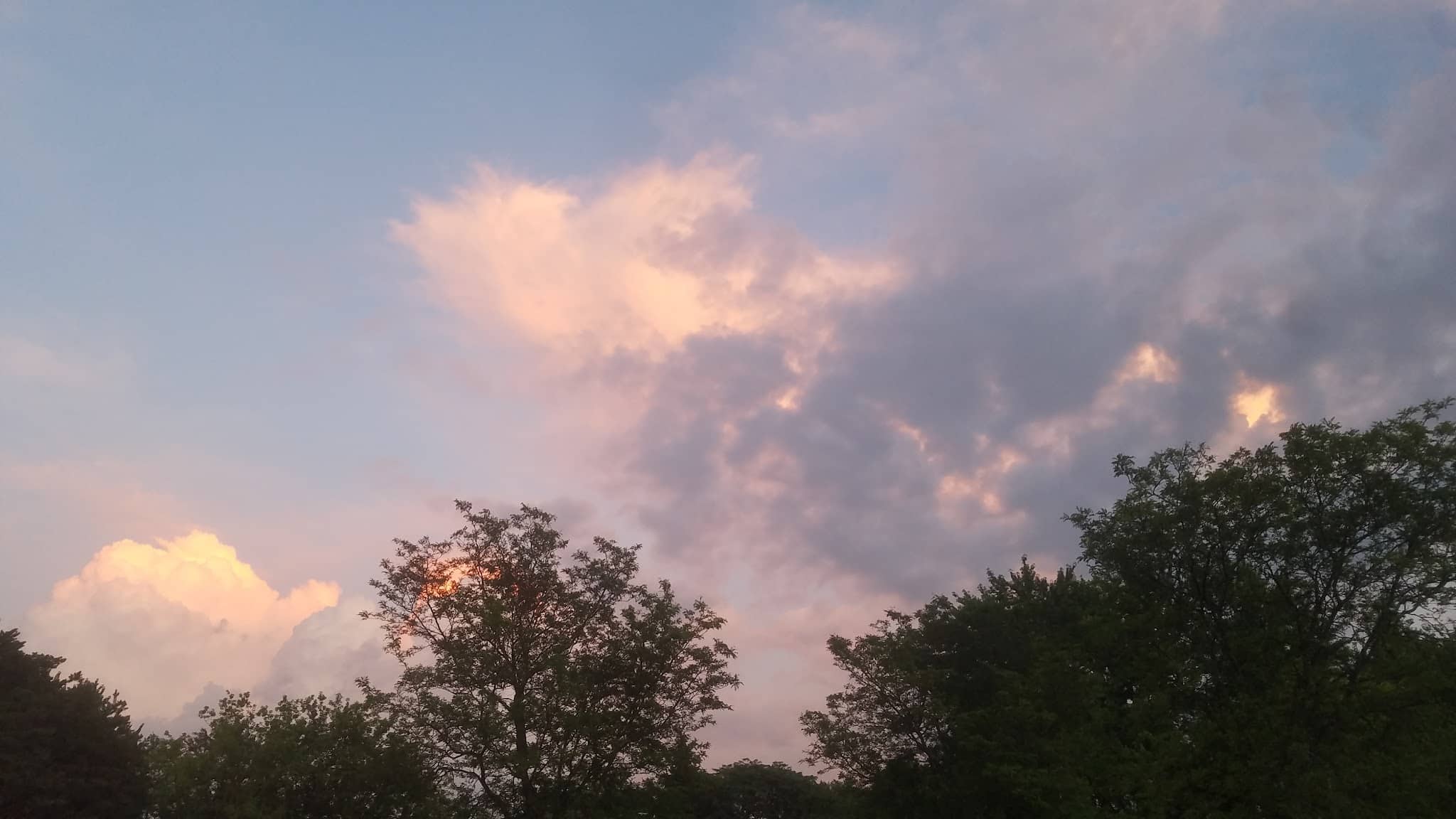 Carson Park - Elk Grove Village, IL