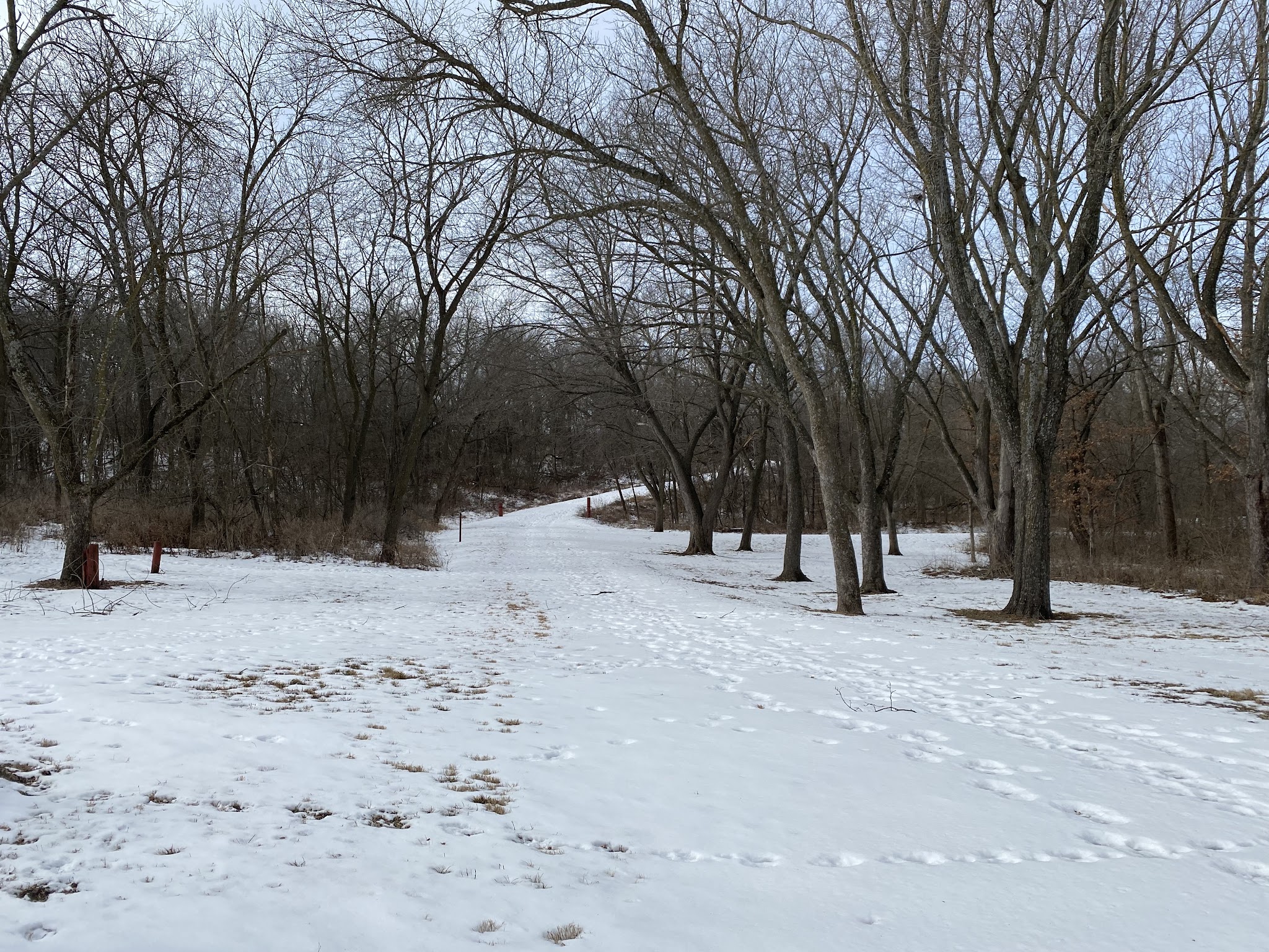 Elk Horn Creek Recreation Area - Elk Horn, IA