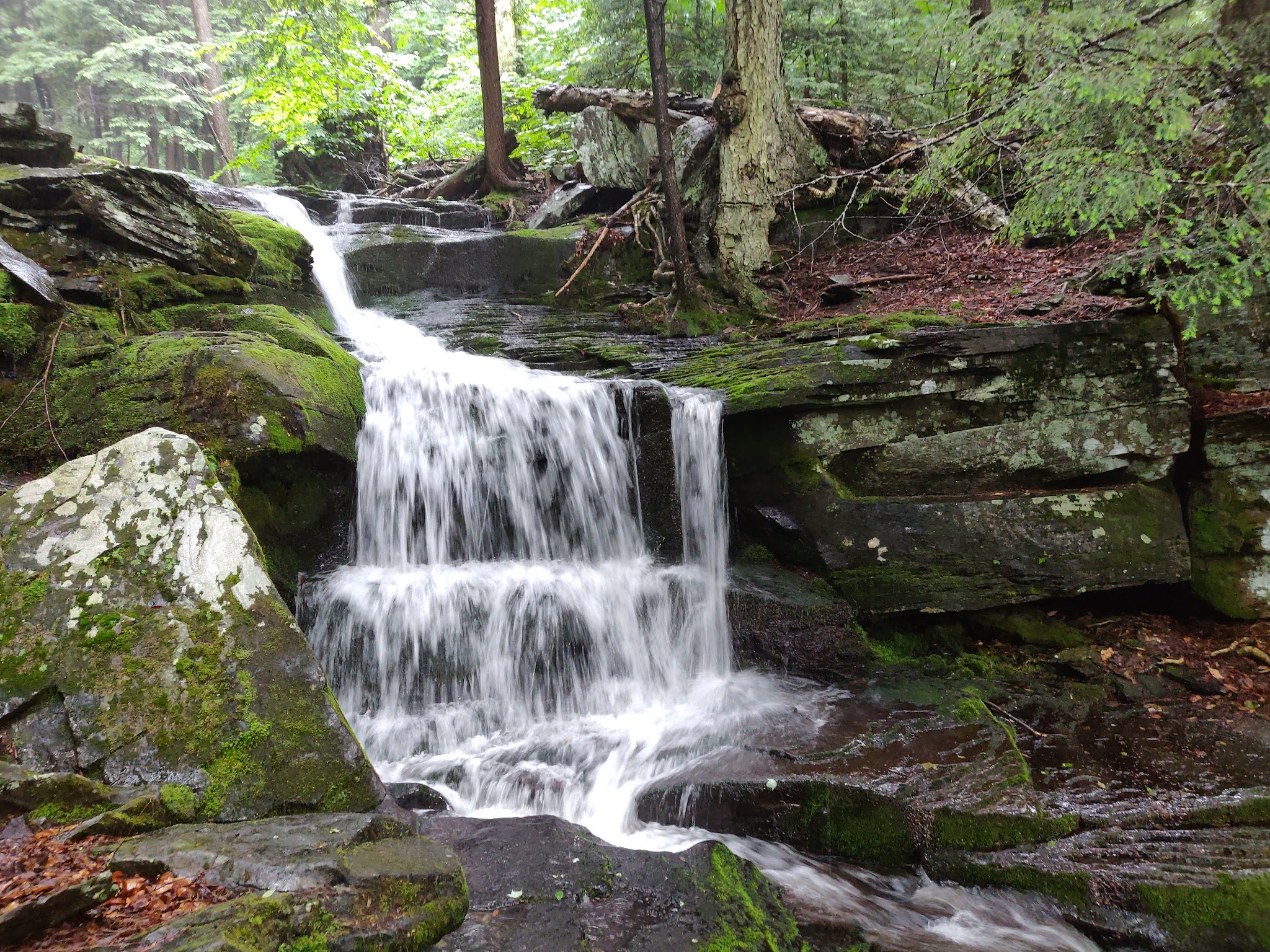 Roaring Kill Trail - Elka Park, NY