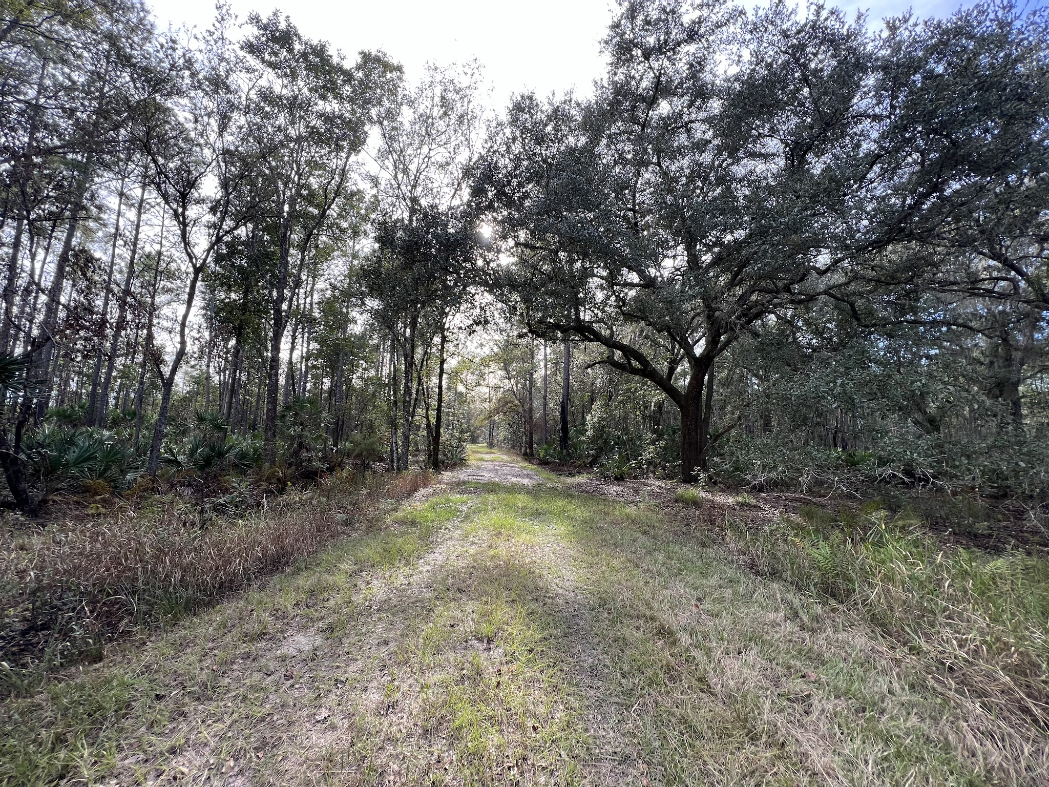 Deep Creek Conservation Area - North Tract Entrance - Elkton, FL